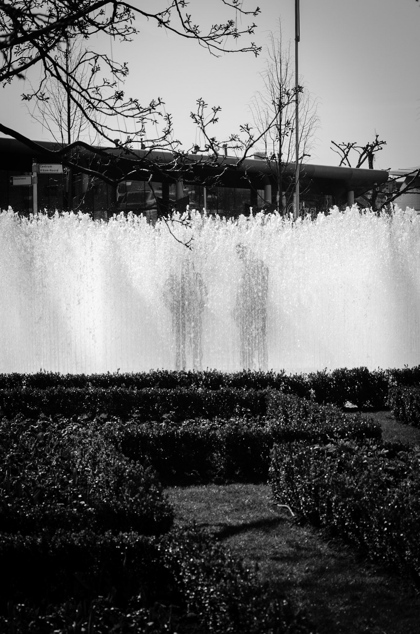 Visiting the Rijksmuseum grounds in Amsterdam