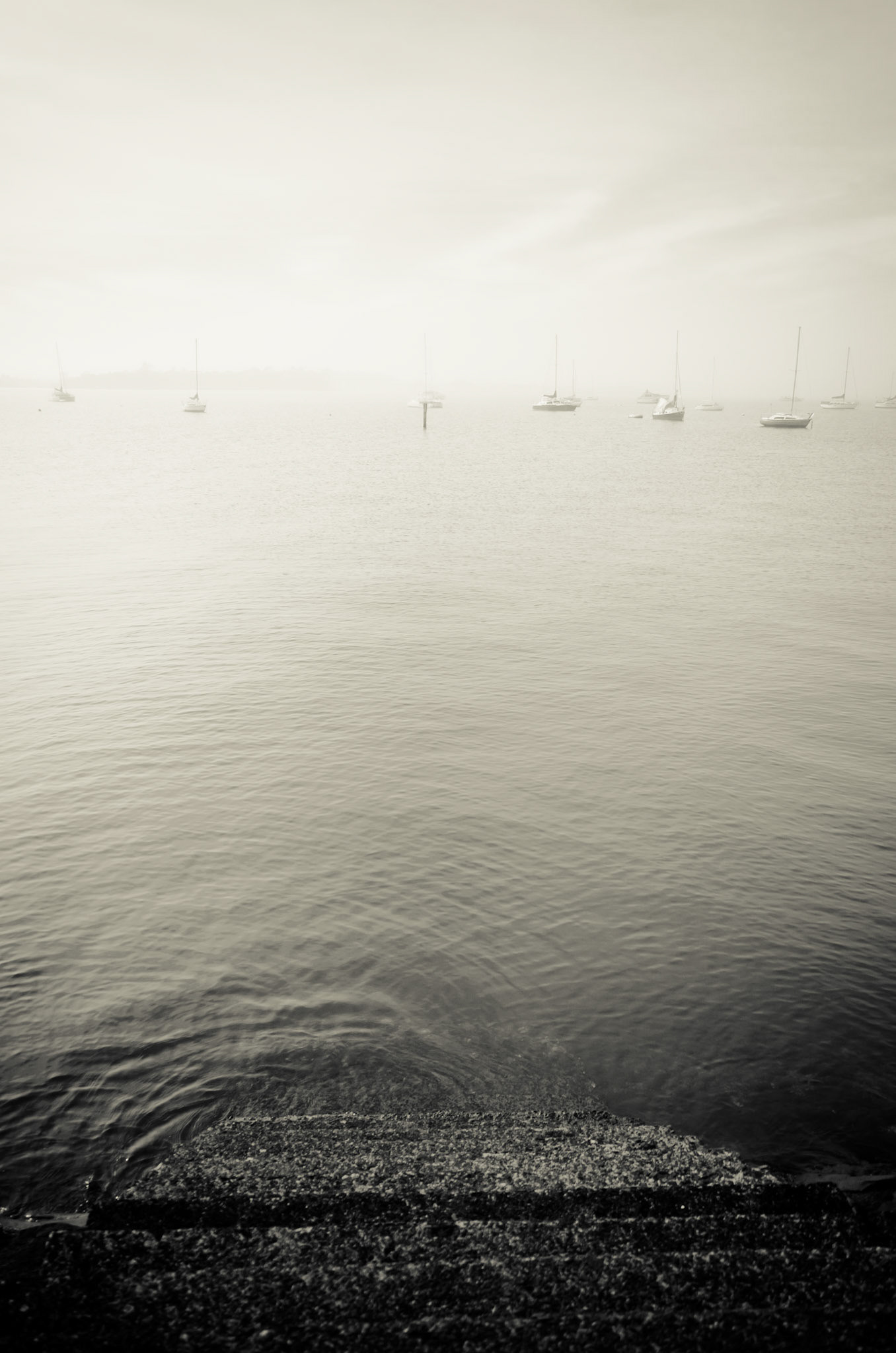 A view across Auckland Harbour in the fog