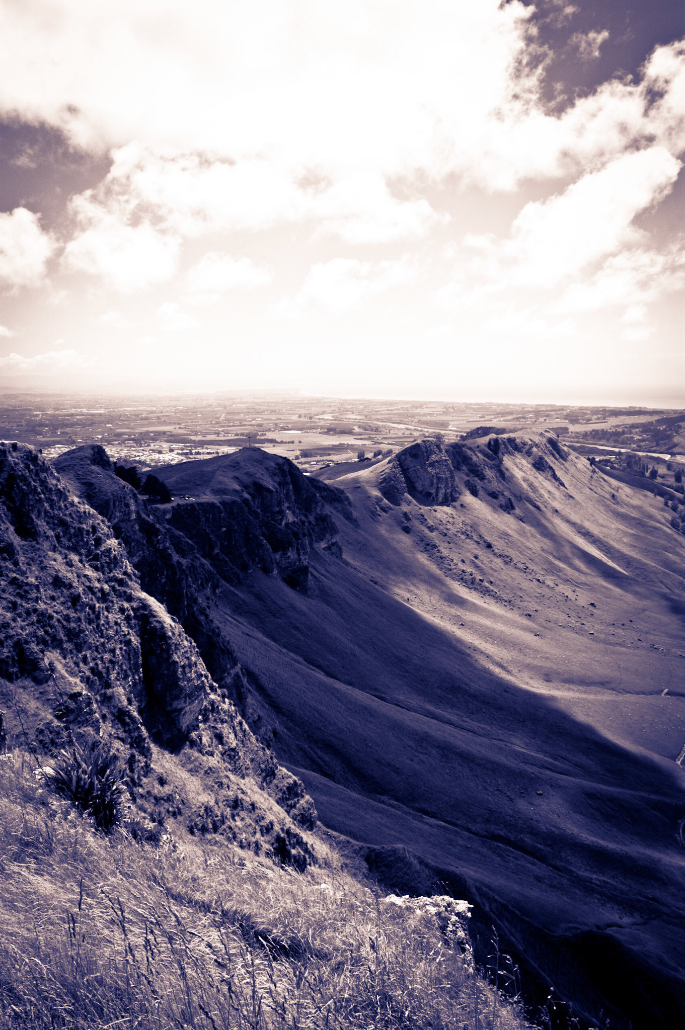 Looking down on Napier, New Zealand from Te Mata Peak