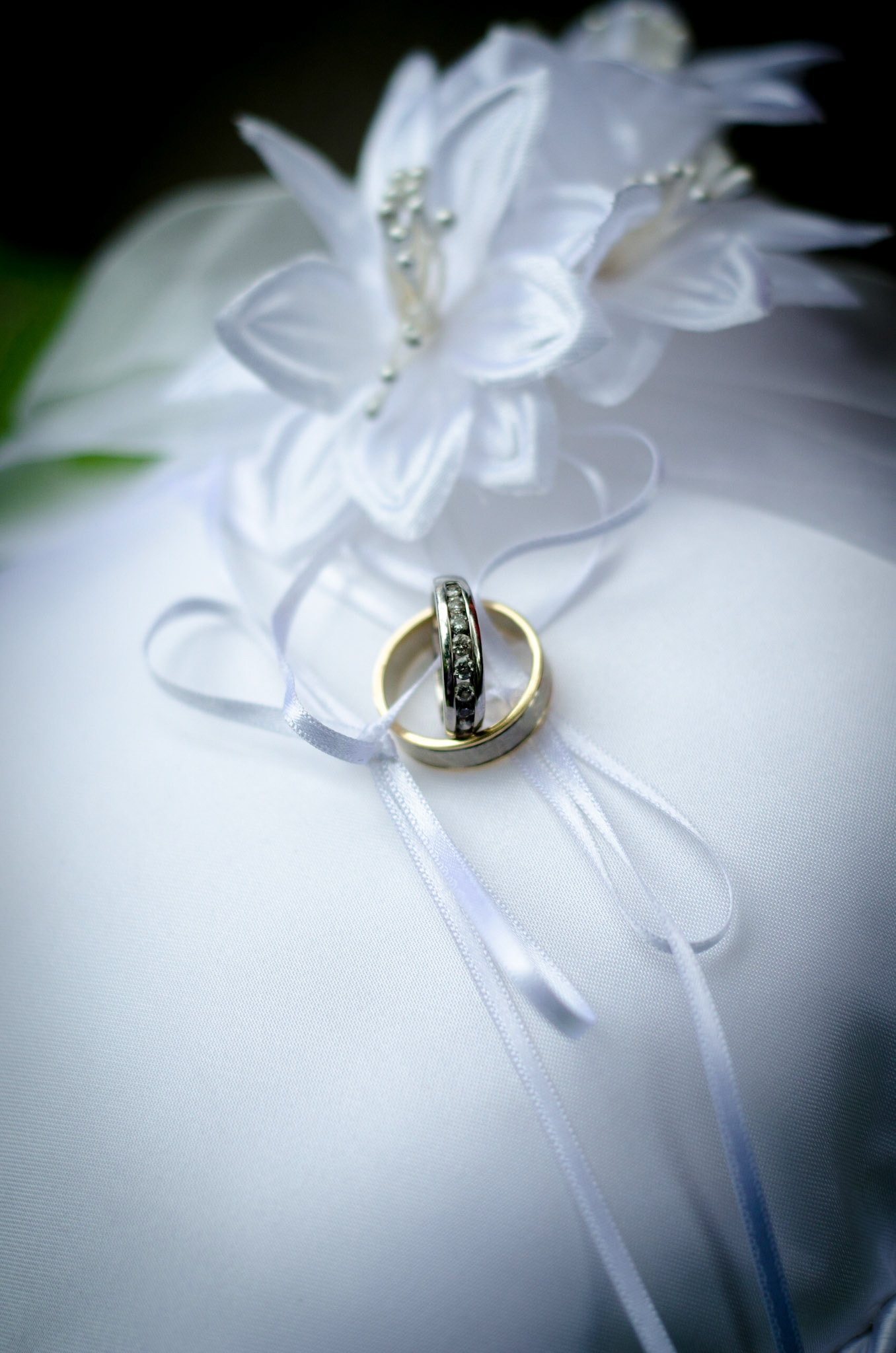 Wedding rings on a pillow