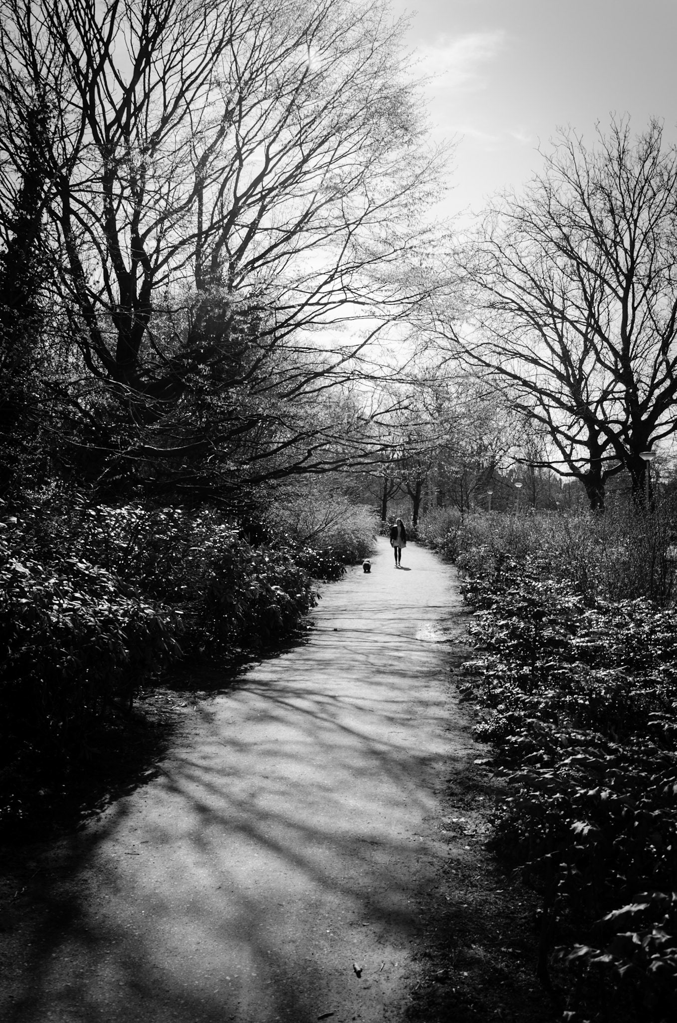 Exploring the Vondelpark in Amsterdam