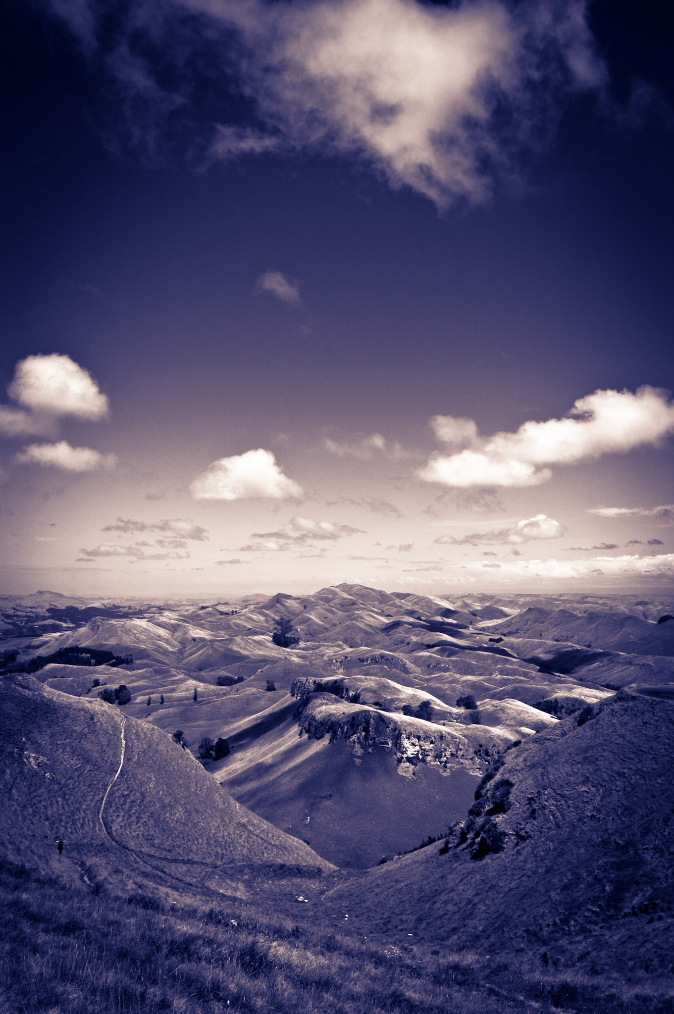 Looking down on Napier, New Zealand from Te Mata Peak