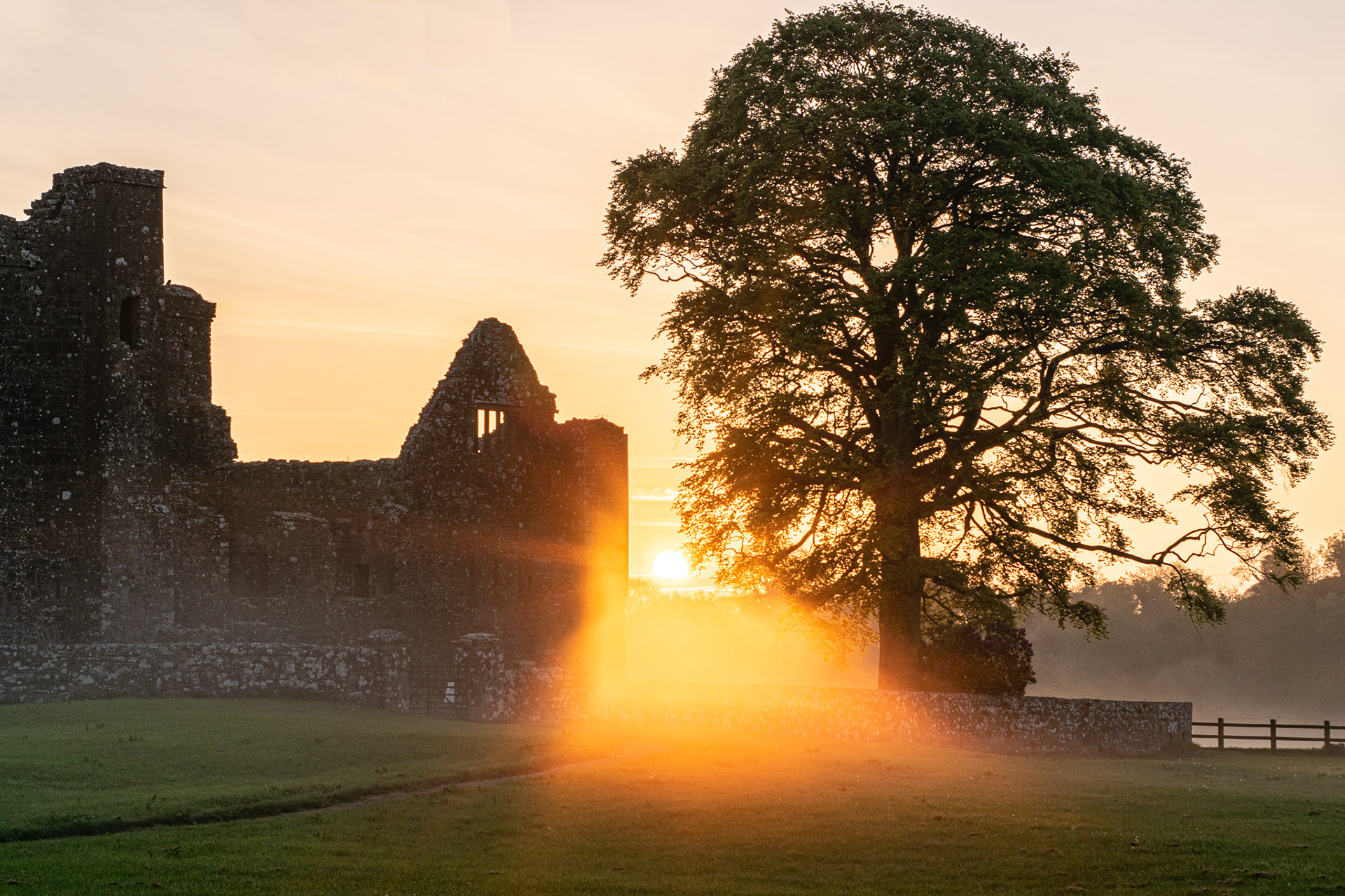 Sunrise at Bective Abbey