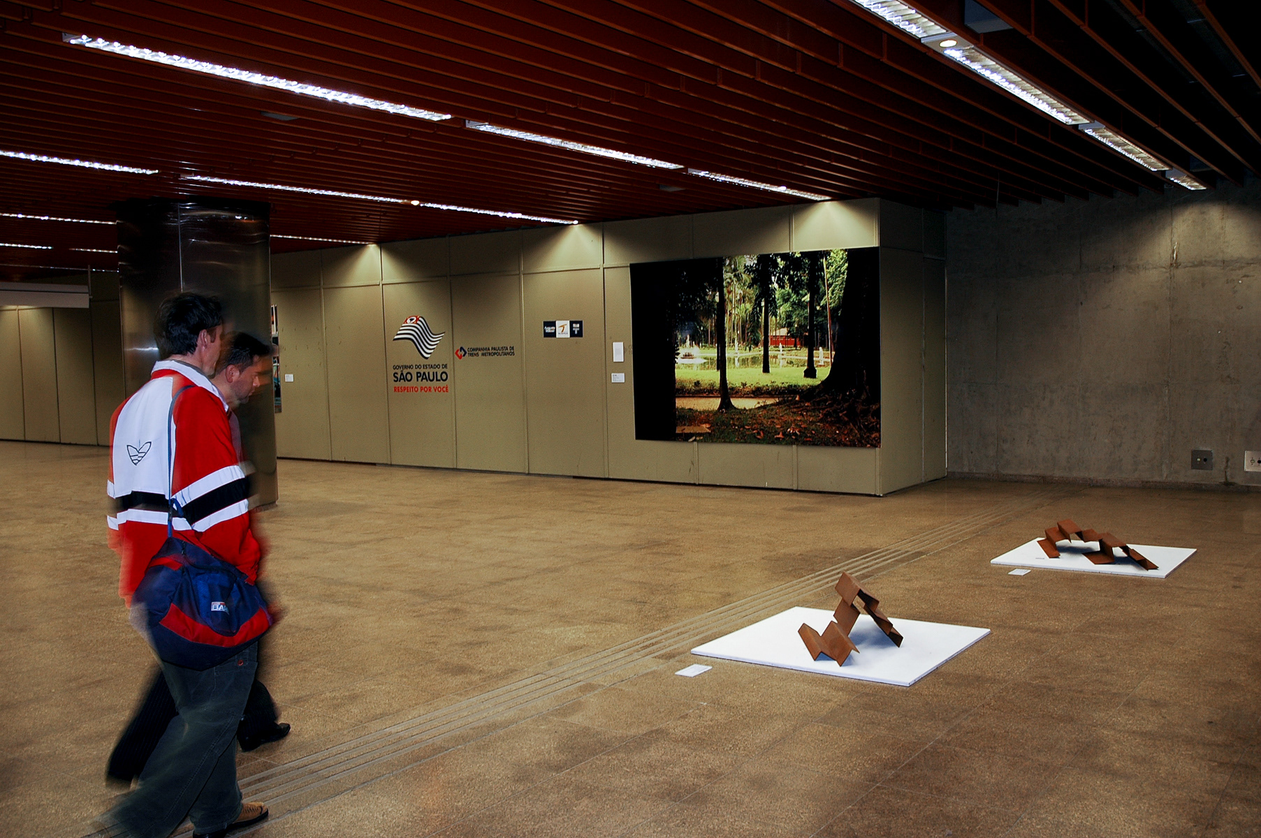 The Park Luz (site-specific installation view)