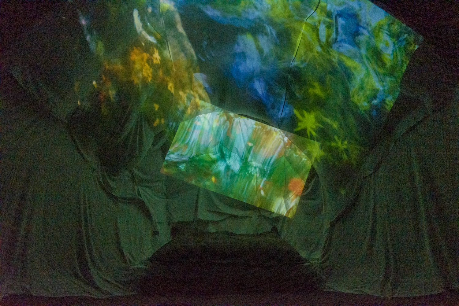 FROM WATER - inside the Exbury Egg