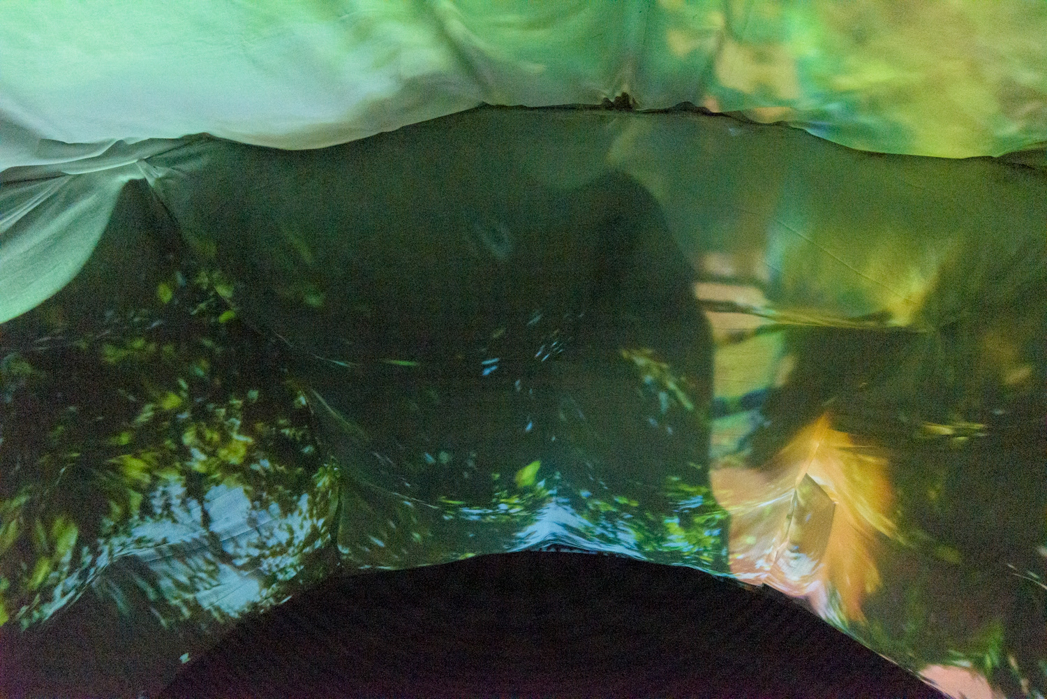 FROM WATER - inside the Exbury Egg