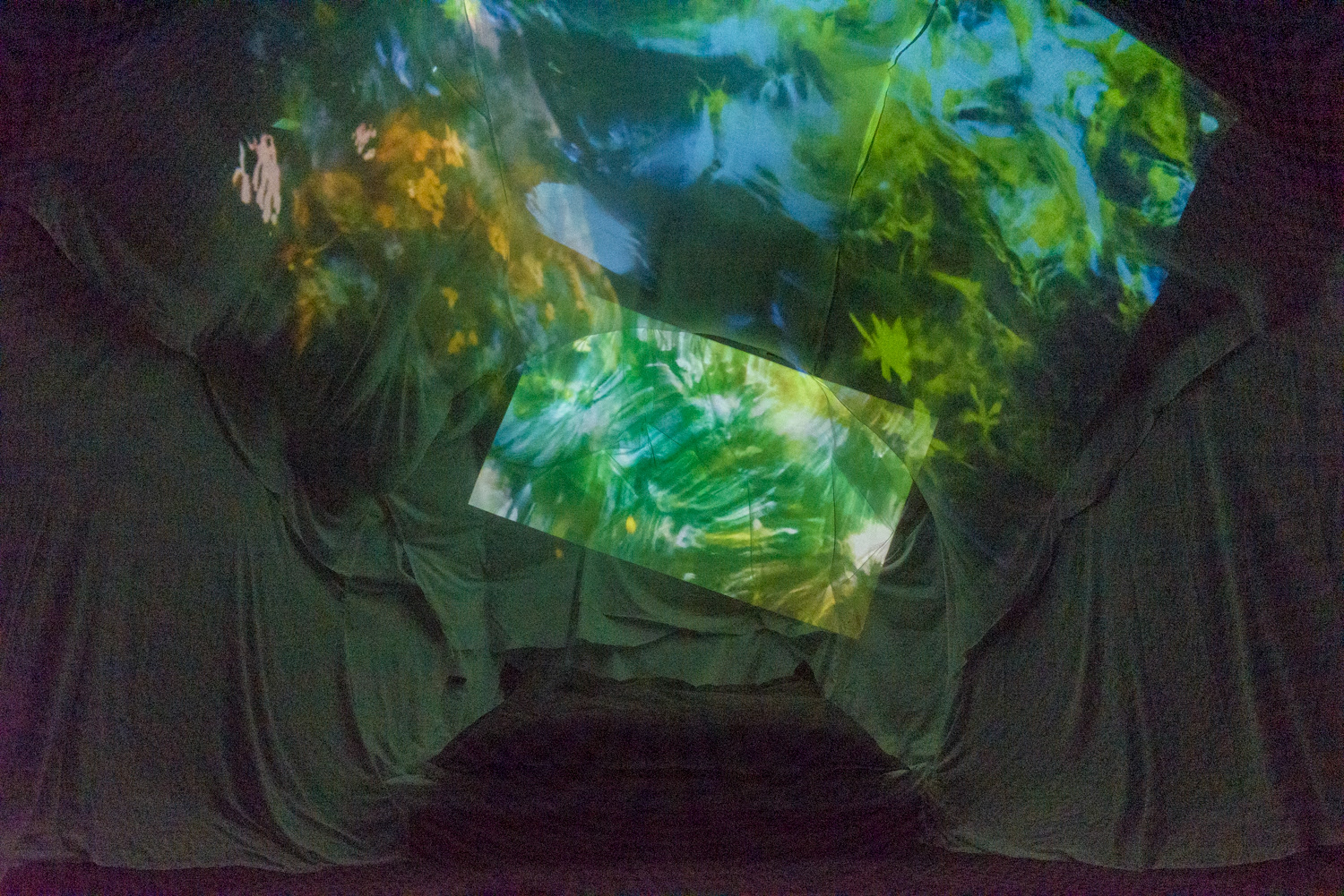 FROM WATER - inside the Exbury Egg