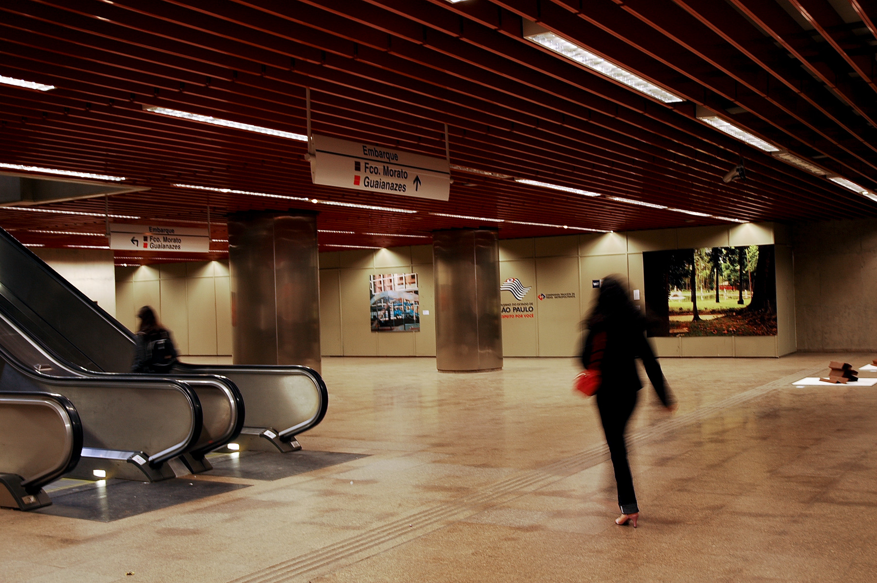 The Park Luz (site-specific installation view)