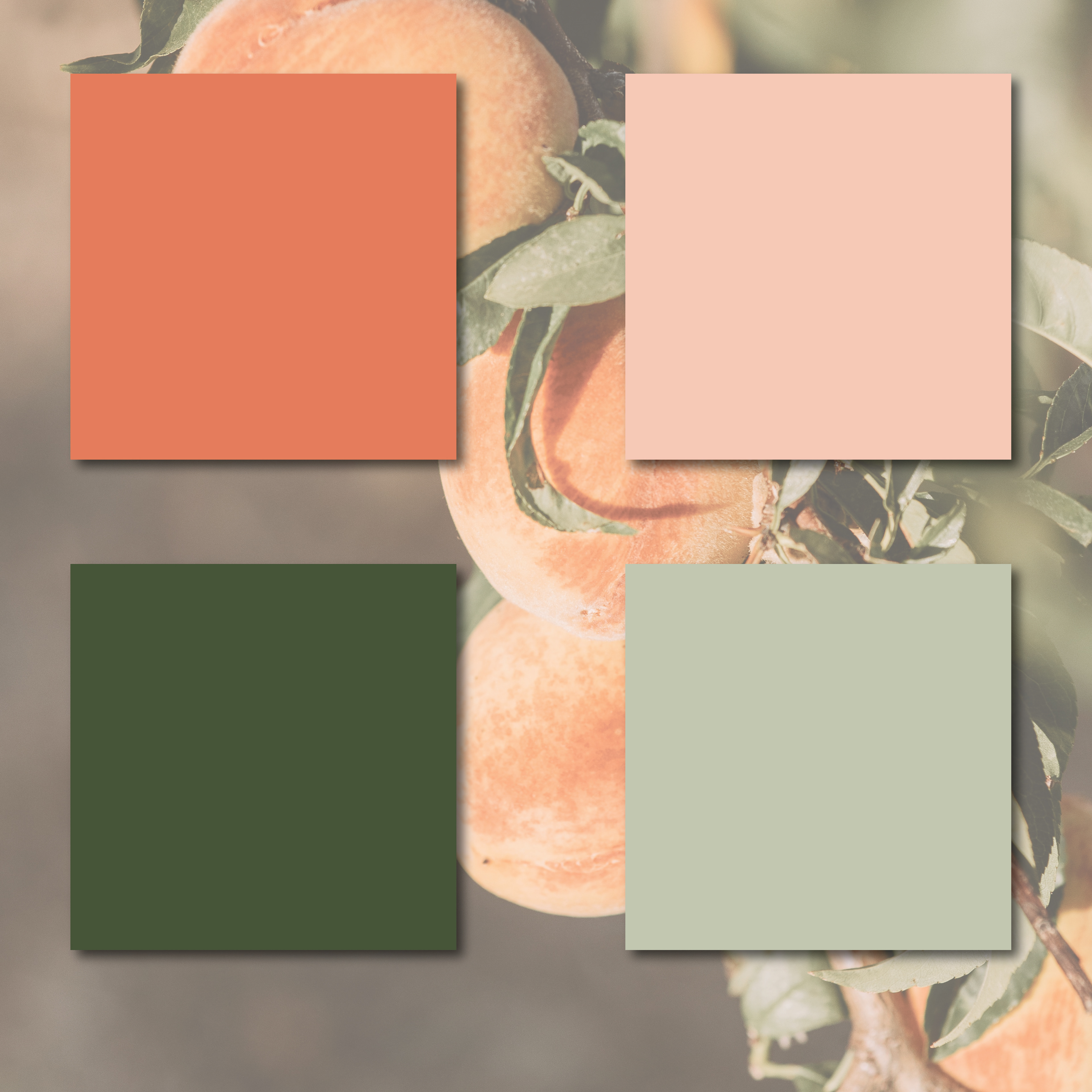 The color palette is largely monochromatic.