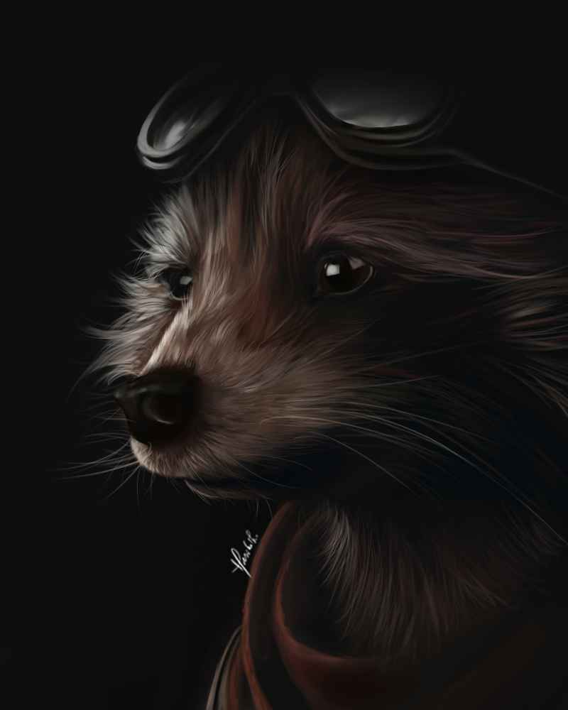 Rocket