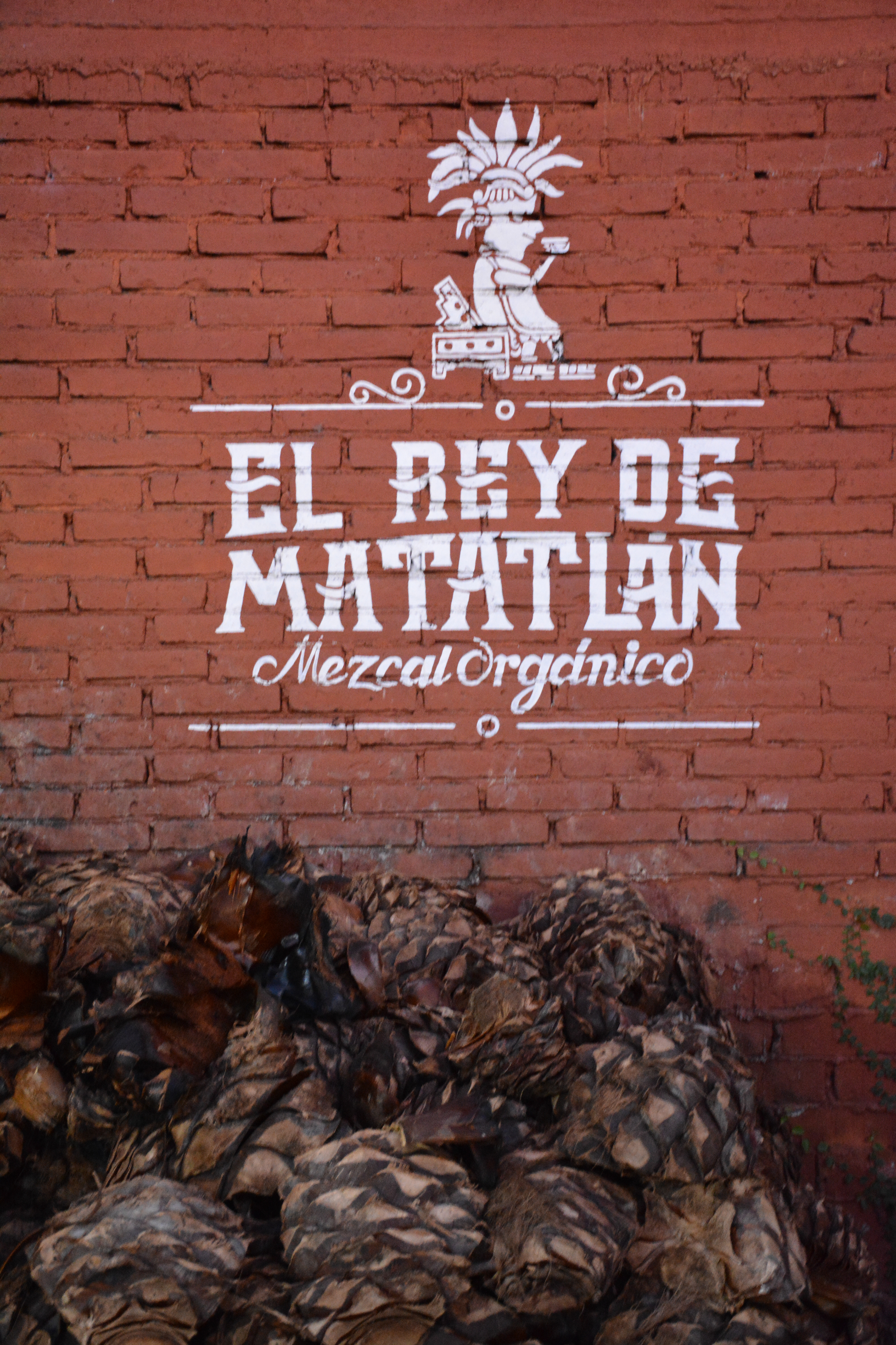 Mescalerie El Rey de Matalan - Oaxaca