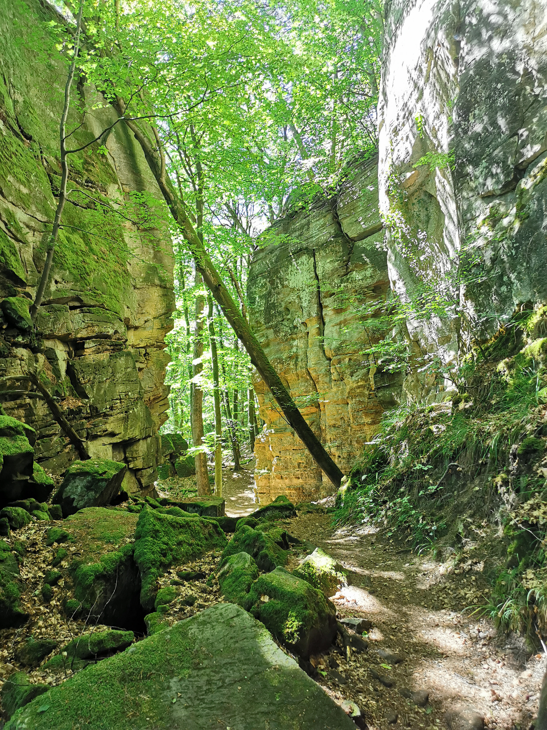 Randonnée autours des Châteaux de Beaufort