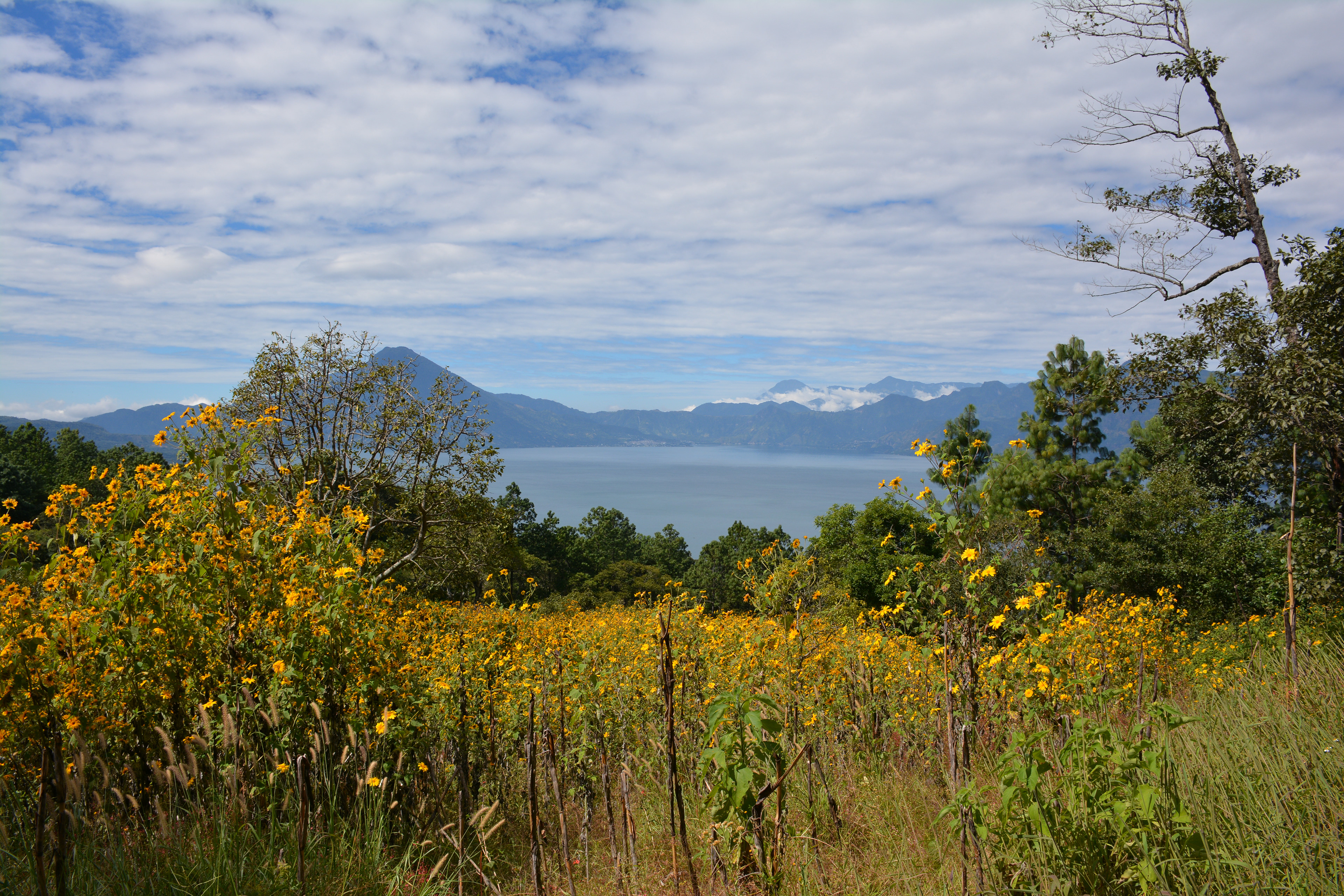 Vue sur le lac Atitlan - Santa Catarina Palopo