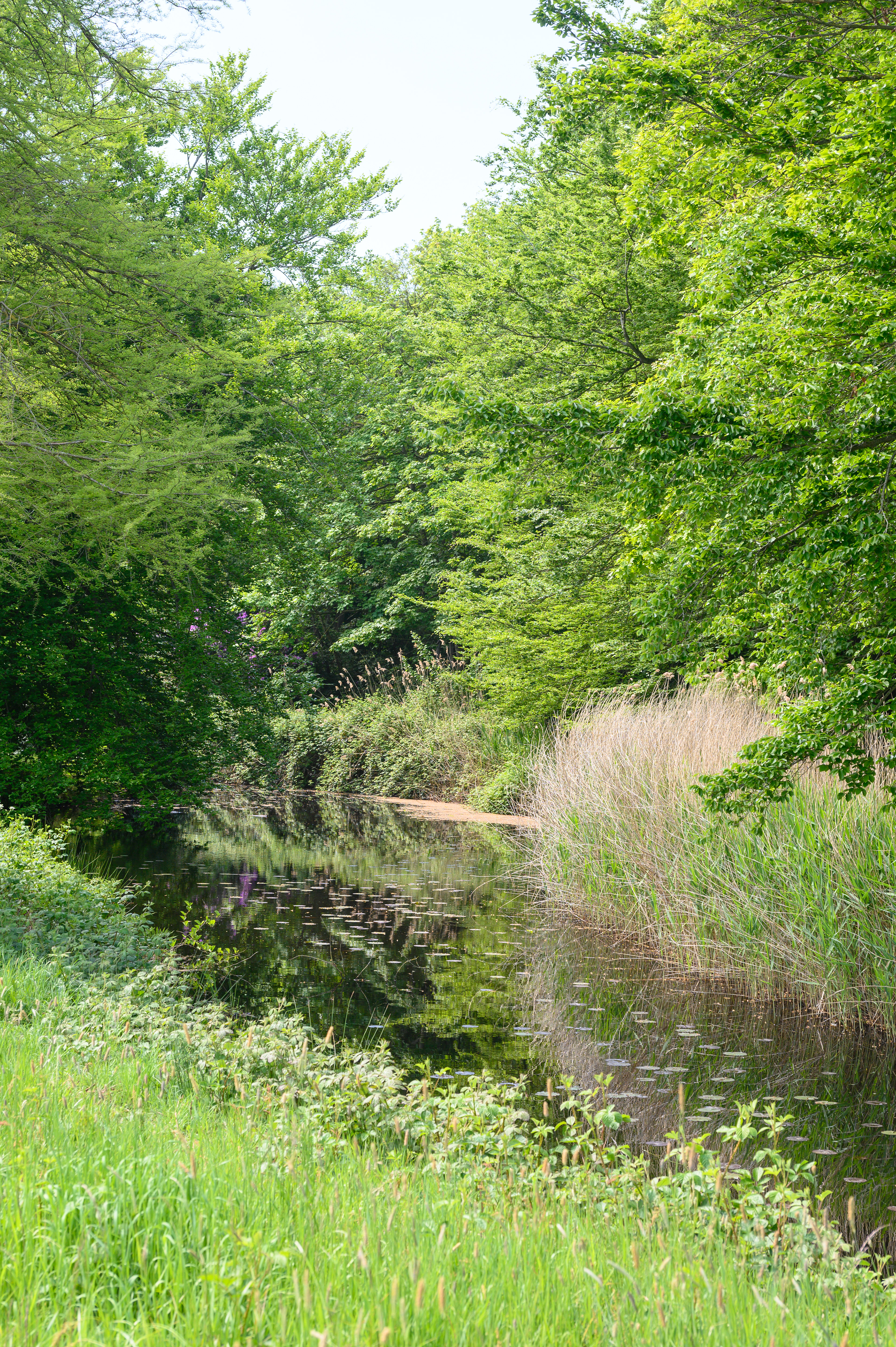 De Manteling van Walcheren