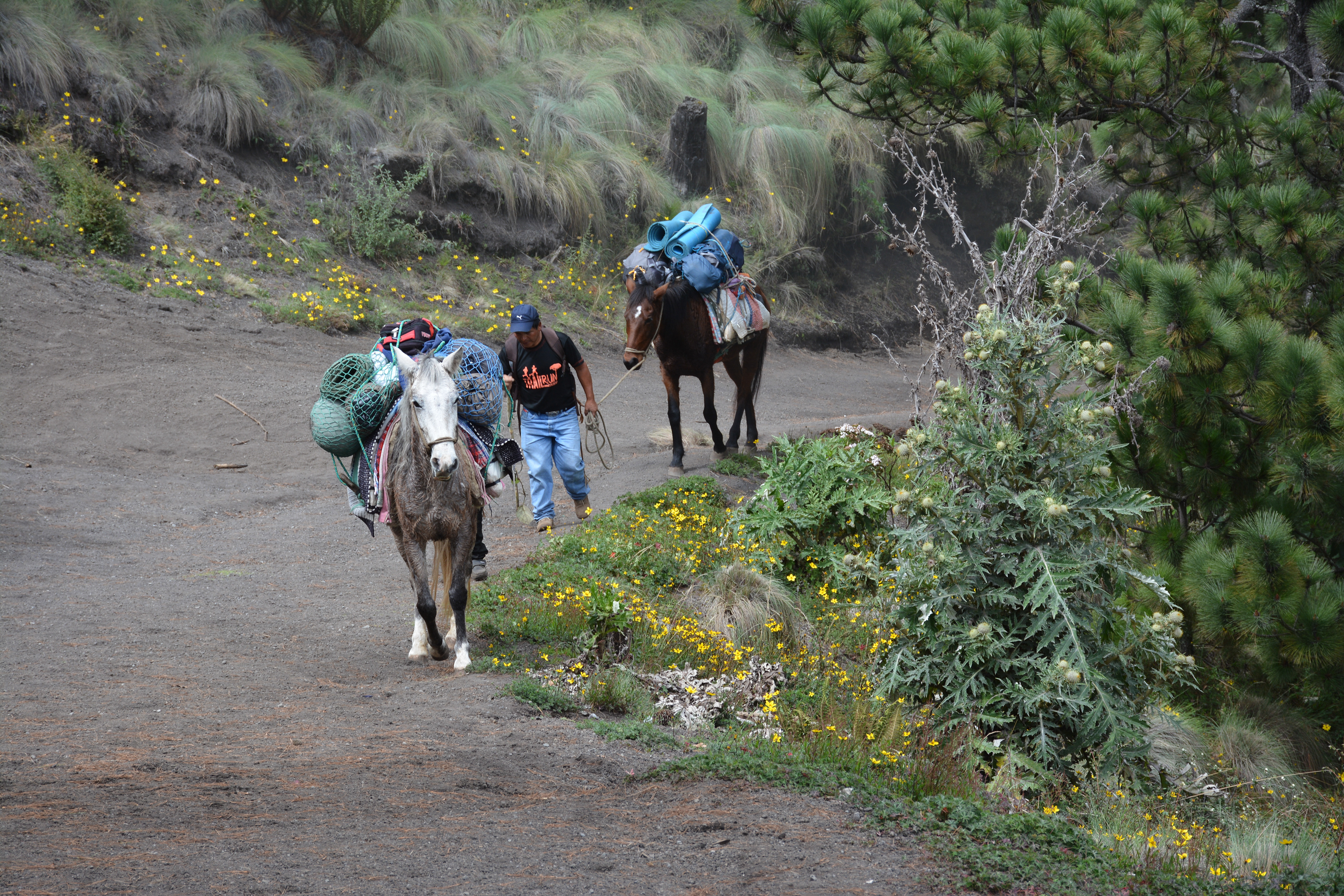 Acatenango