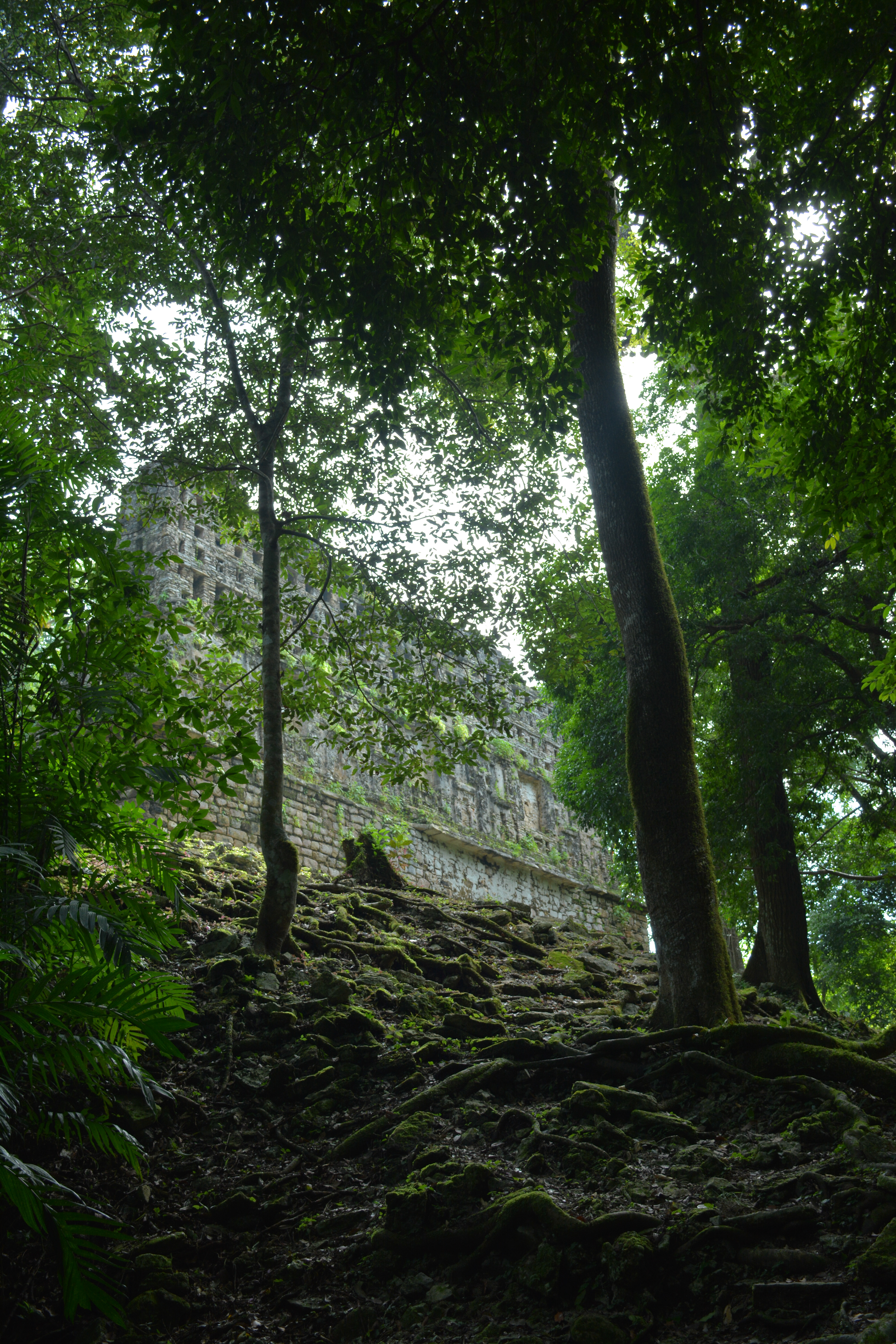 Yatchilan