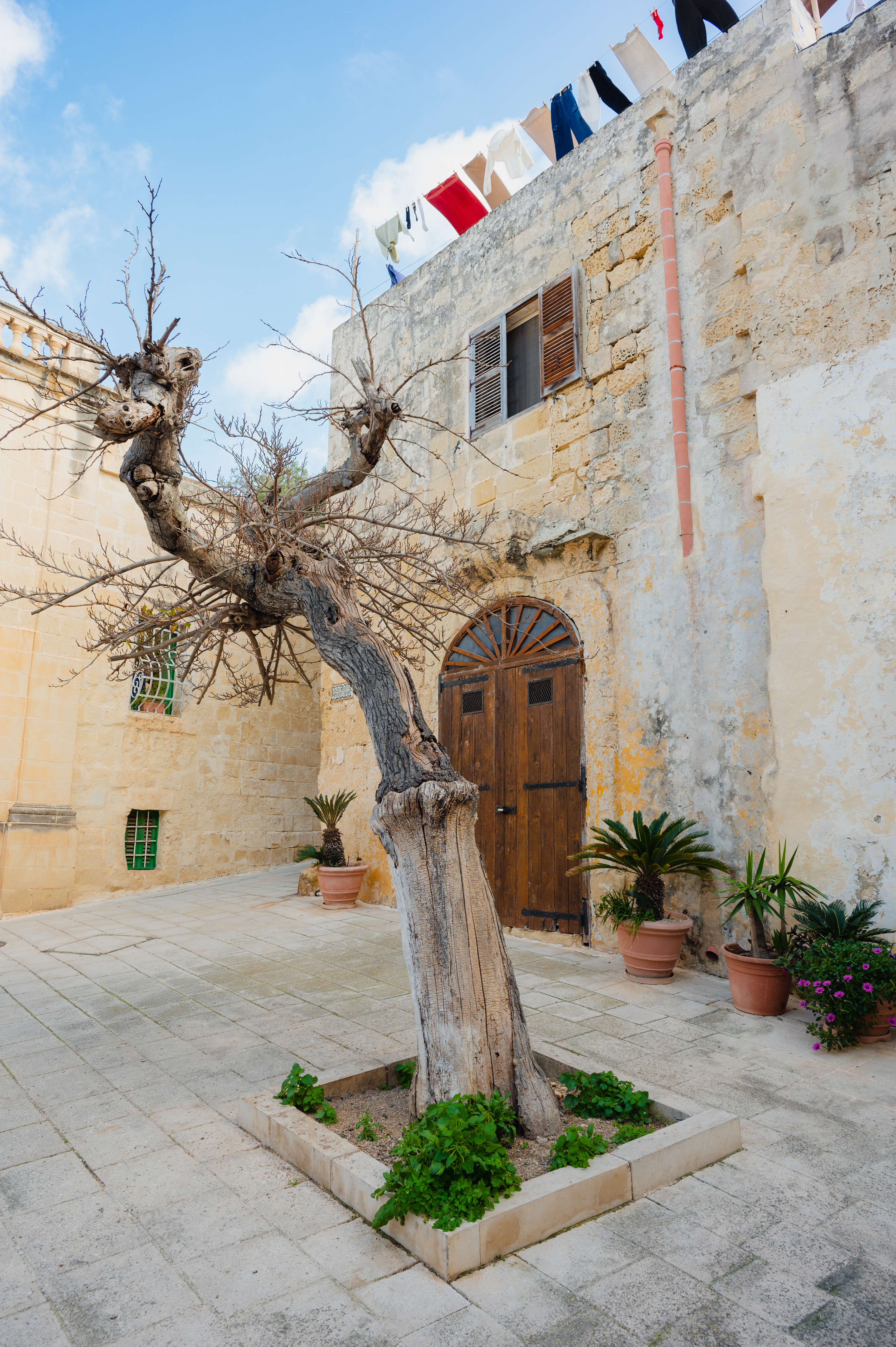 Mdina