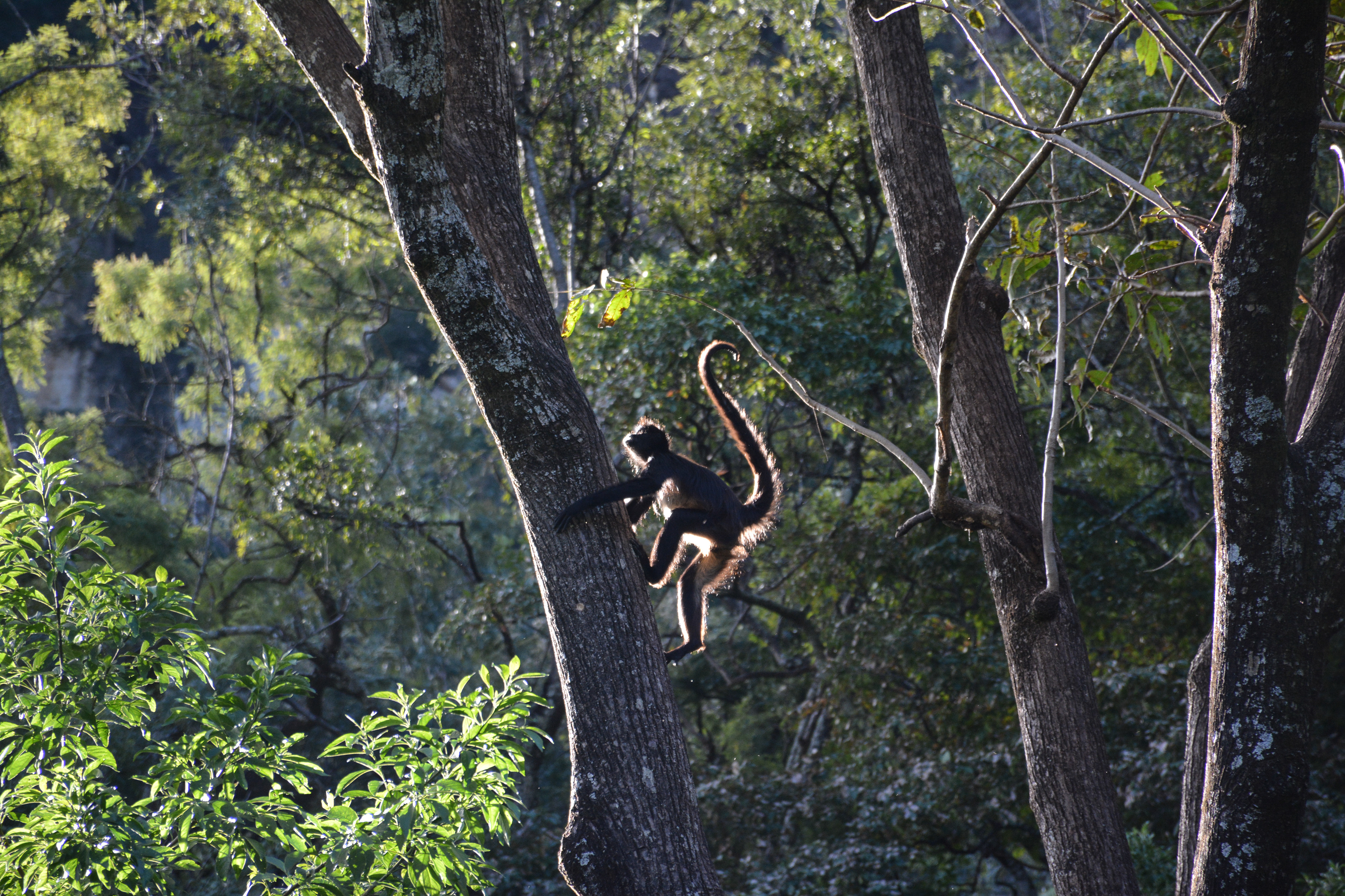 Reserva Natural Atitlan