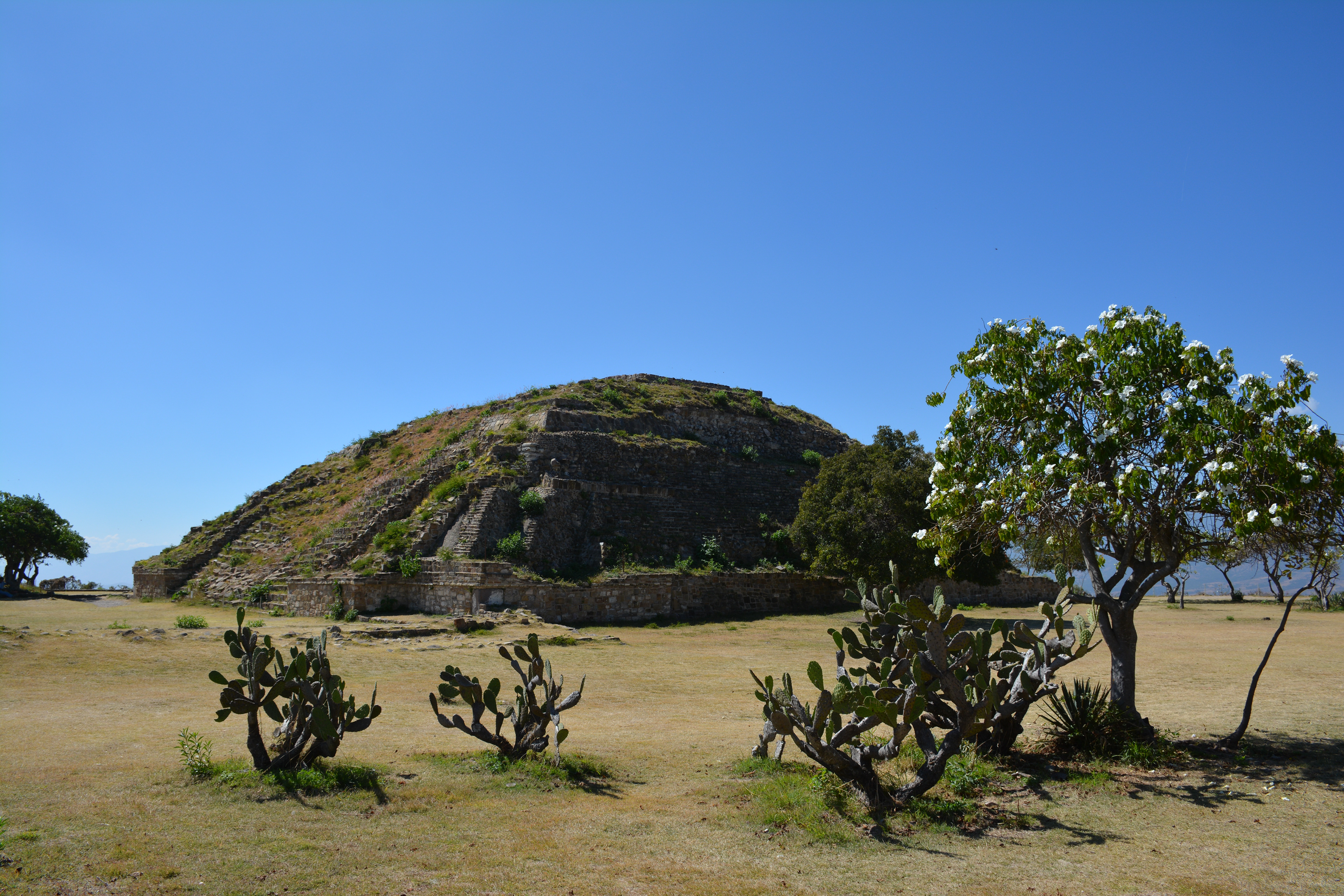 Monte Alban