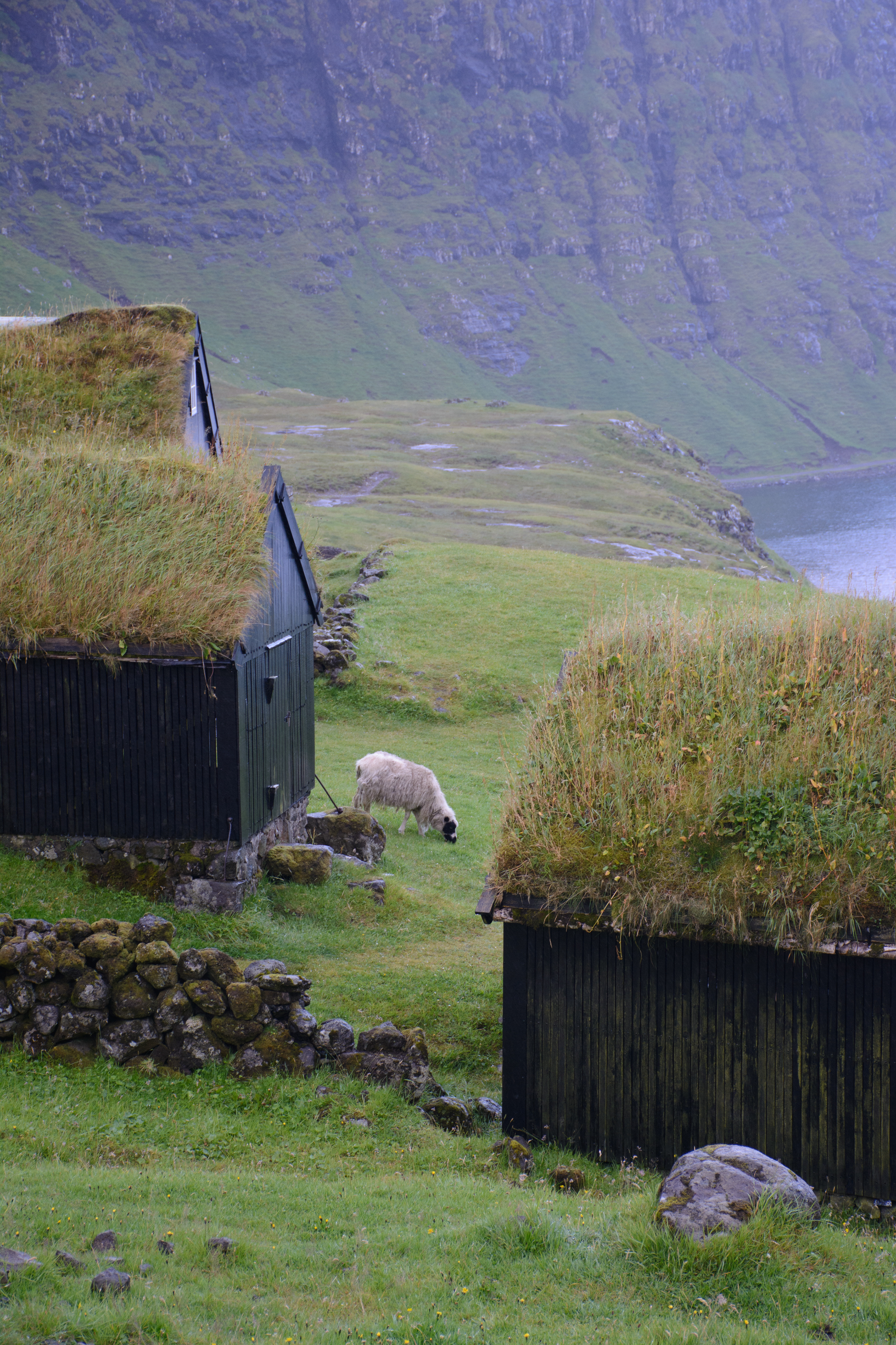 Randonnée vers TJØRNUVÍK