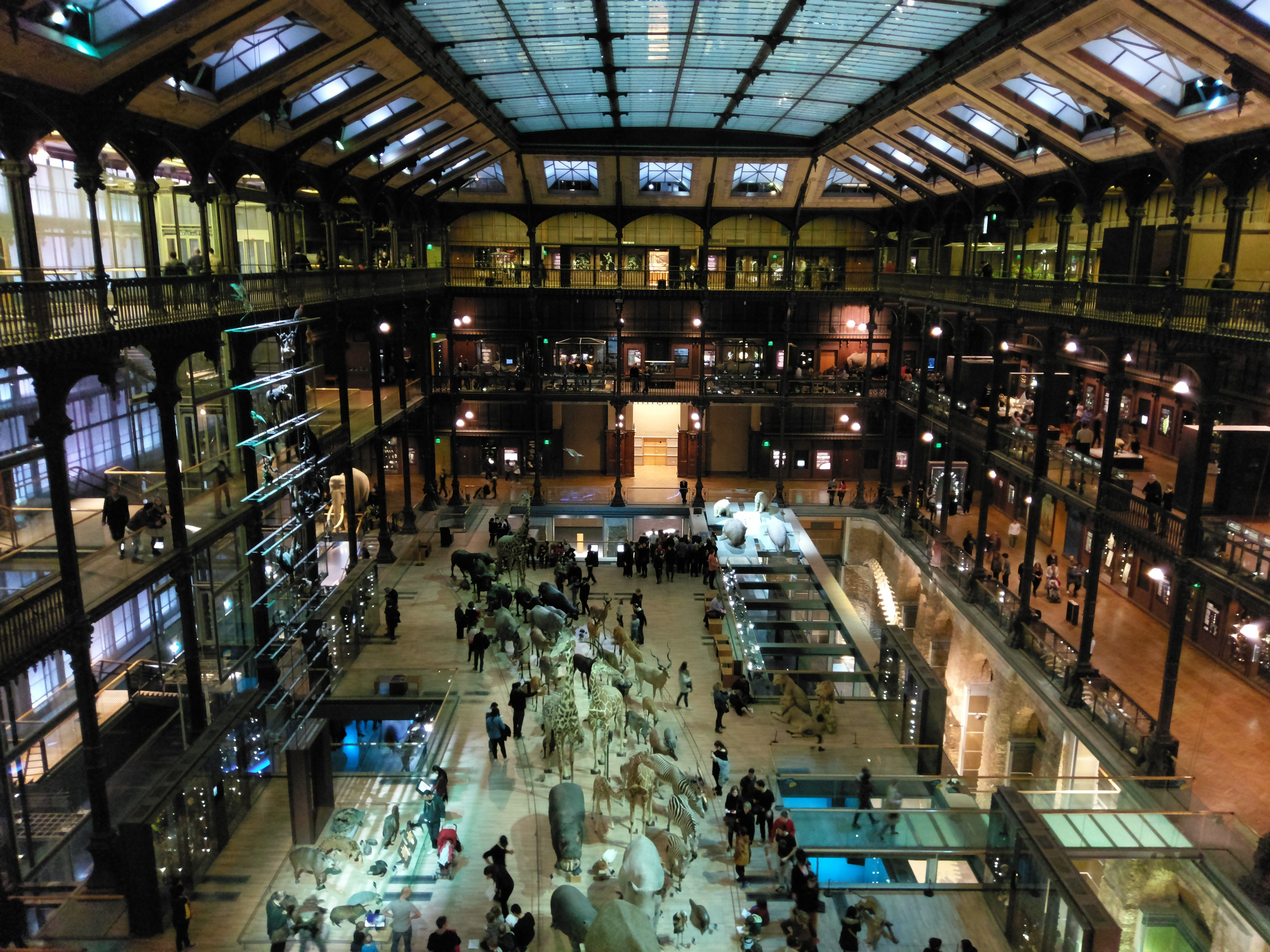 Muséum d'Histoires Naturelles