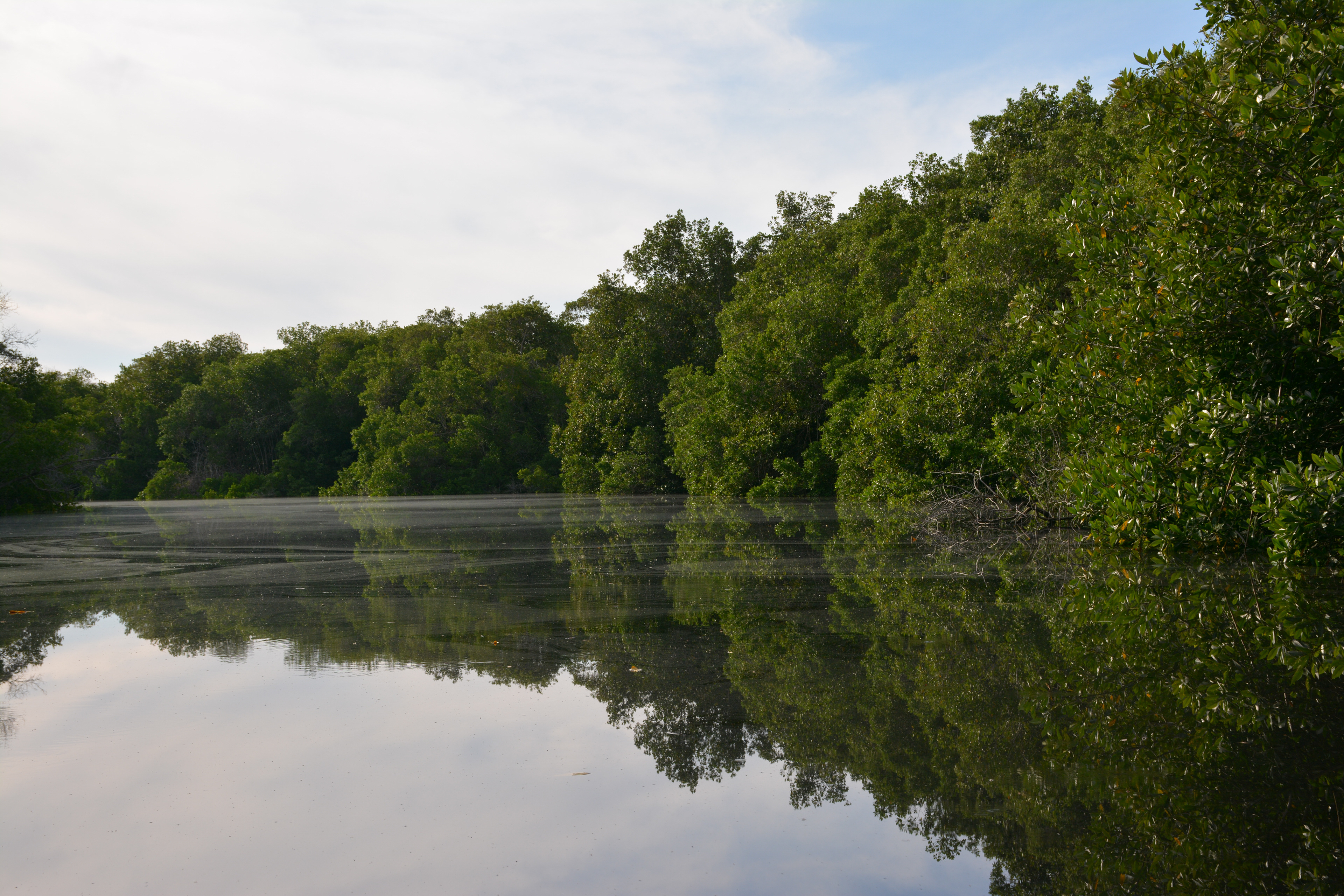 Laguna Manialtepec - Puerto Escondido