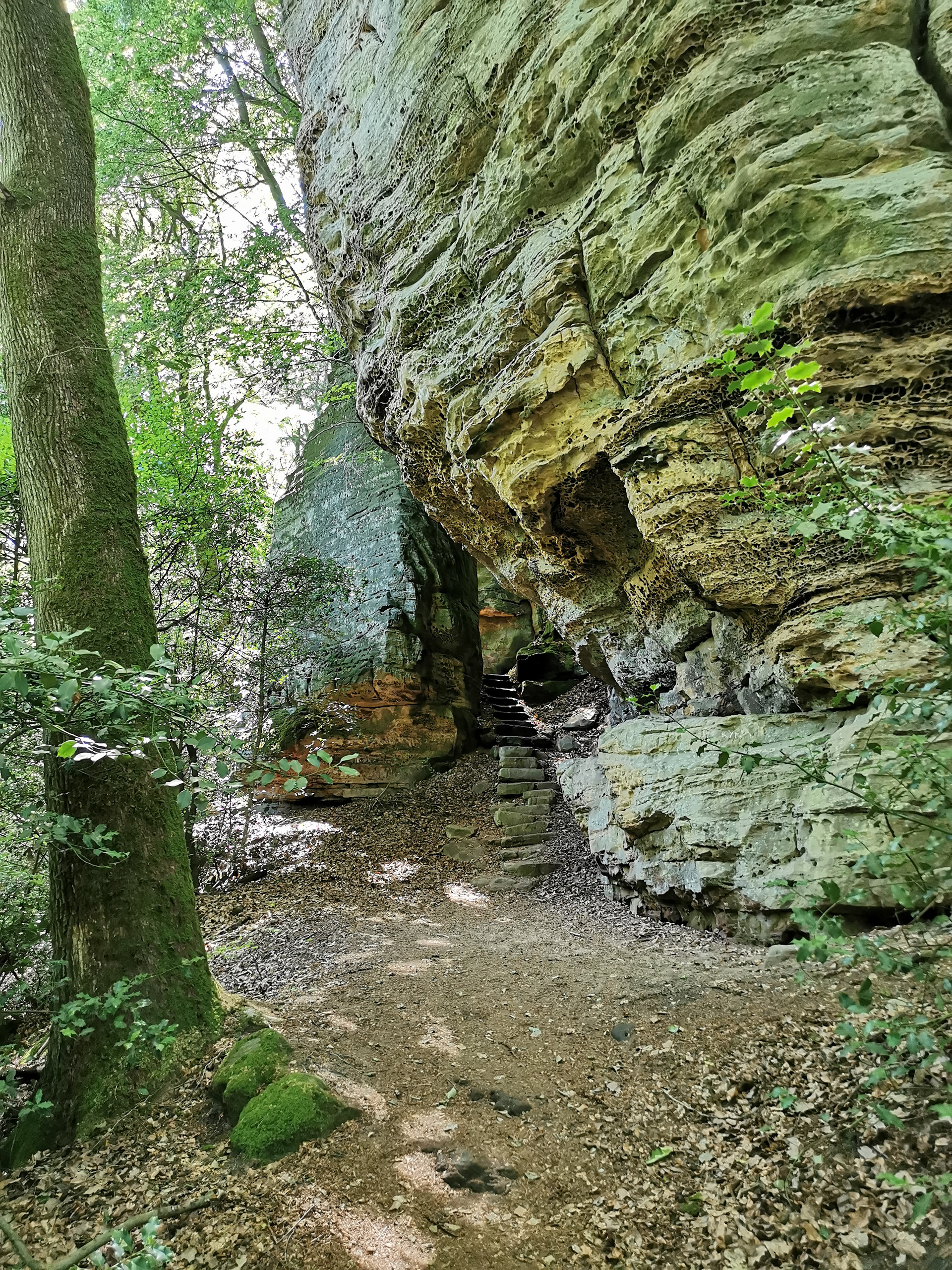 Randonnée autours des Châteaux de Beaufort