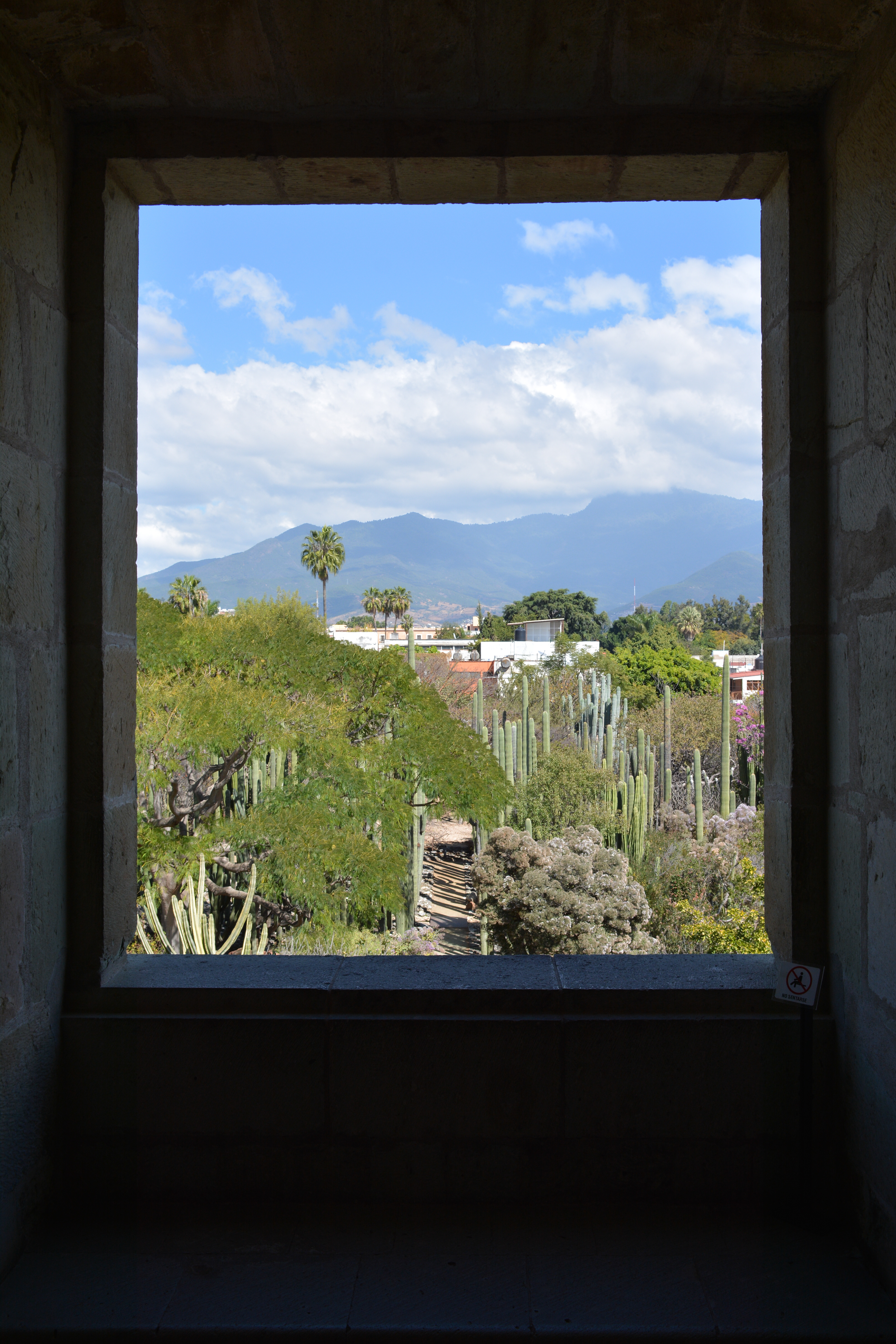 Museo de las Culturas de Oaxaca - Oaxaca