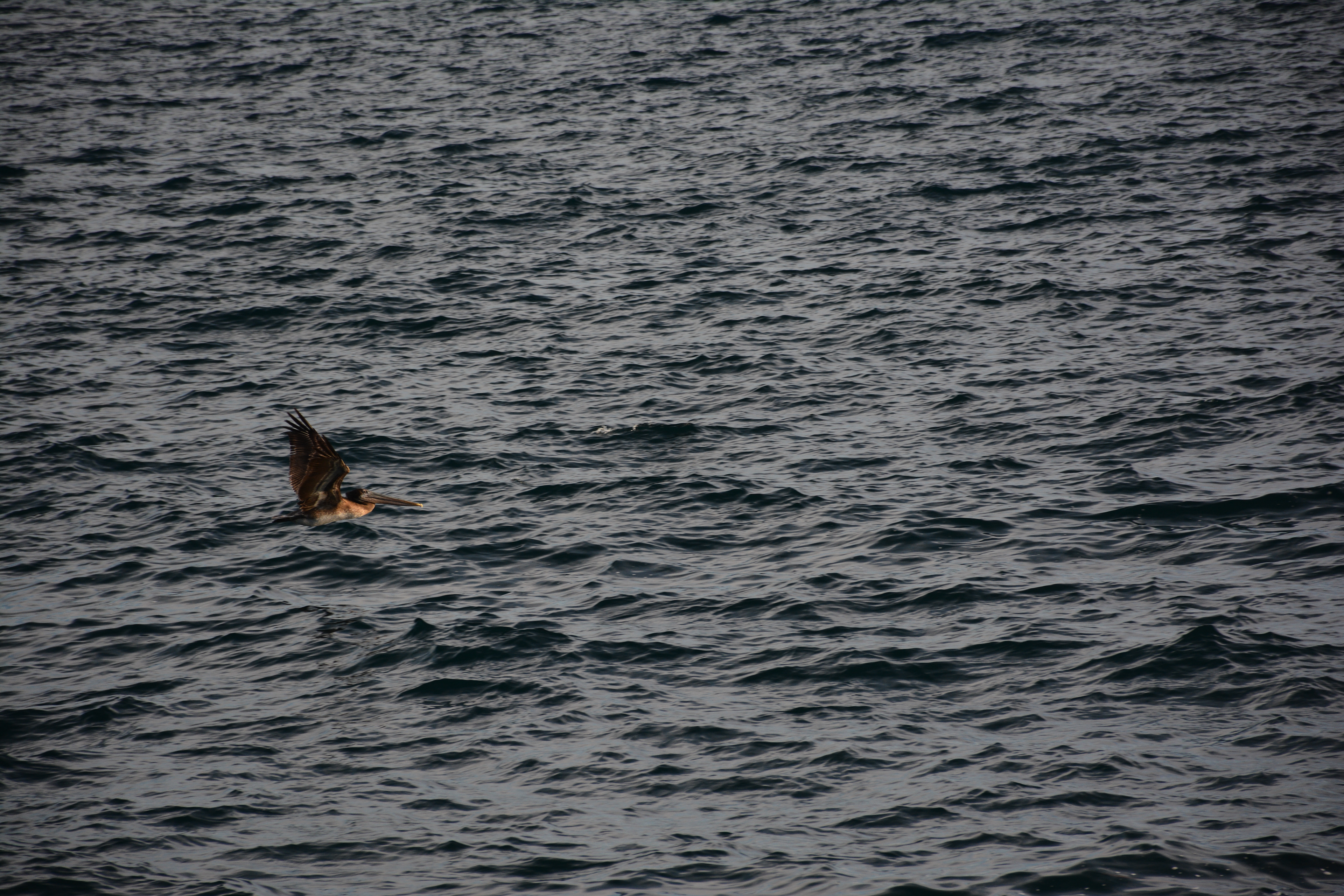 Puerto Escondido