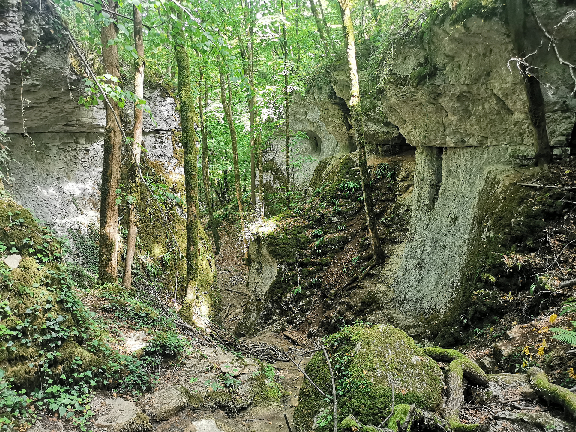 Les Gorges de la Vingeanne