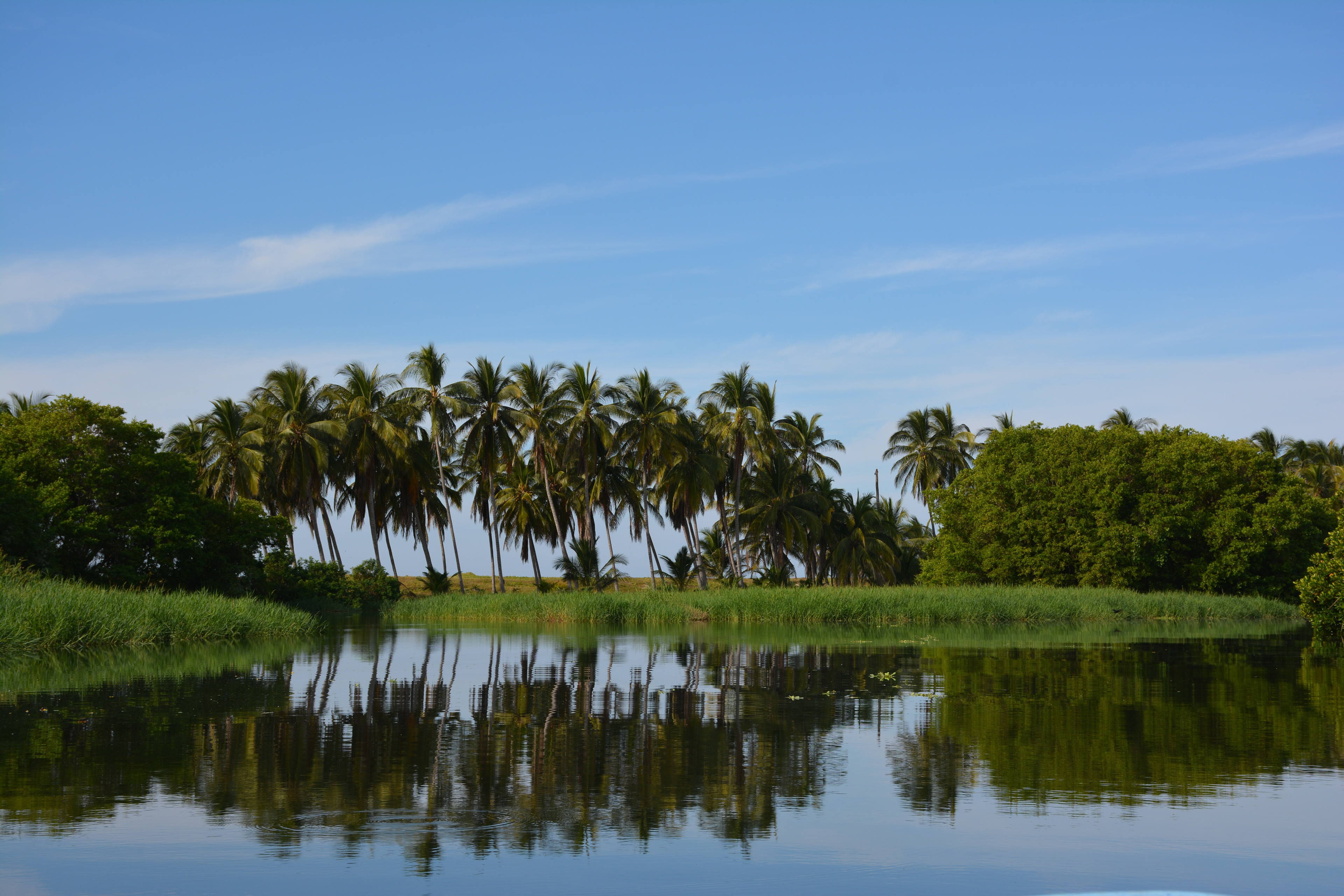 Laguna Manialtepec - Puerto Escondido