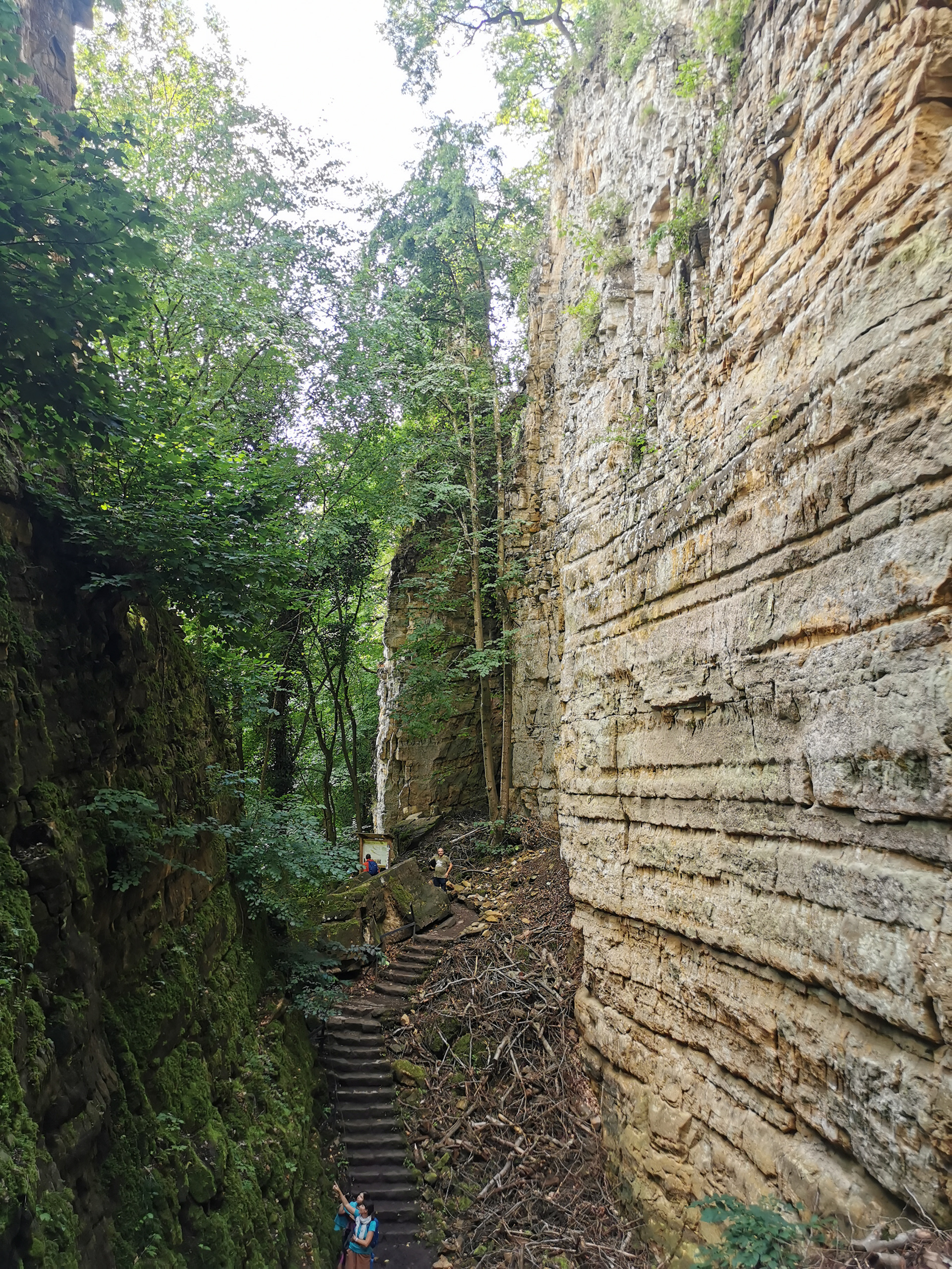 Les gorges du Wollefsschlucht