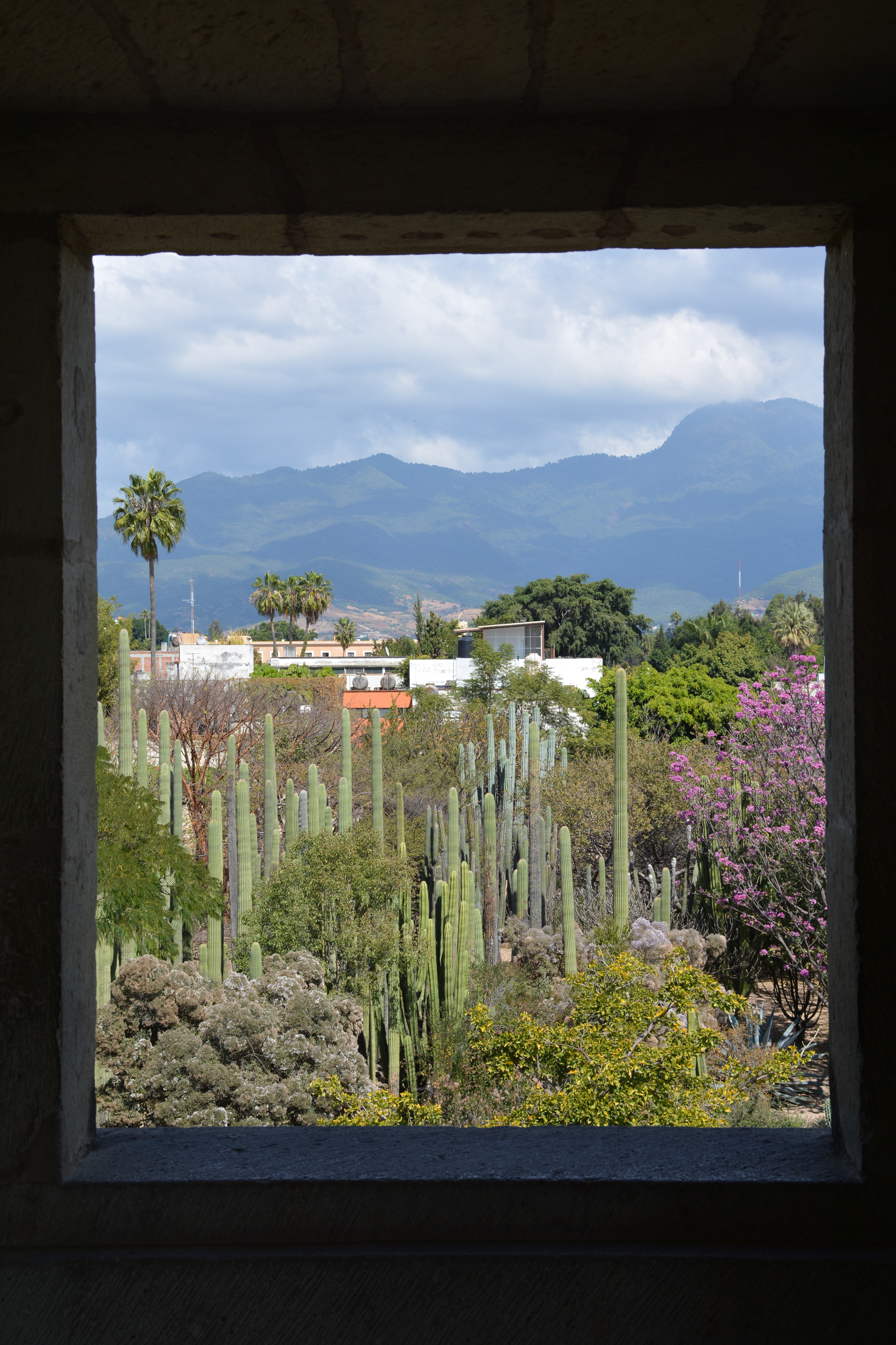 Museo de las Culturas de Oaxaca - Oaxaca