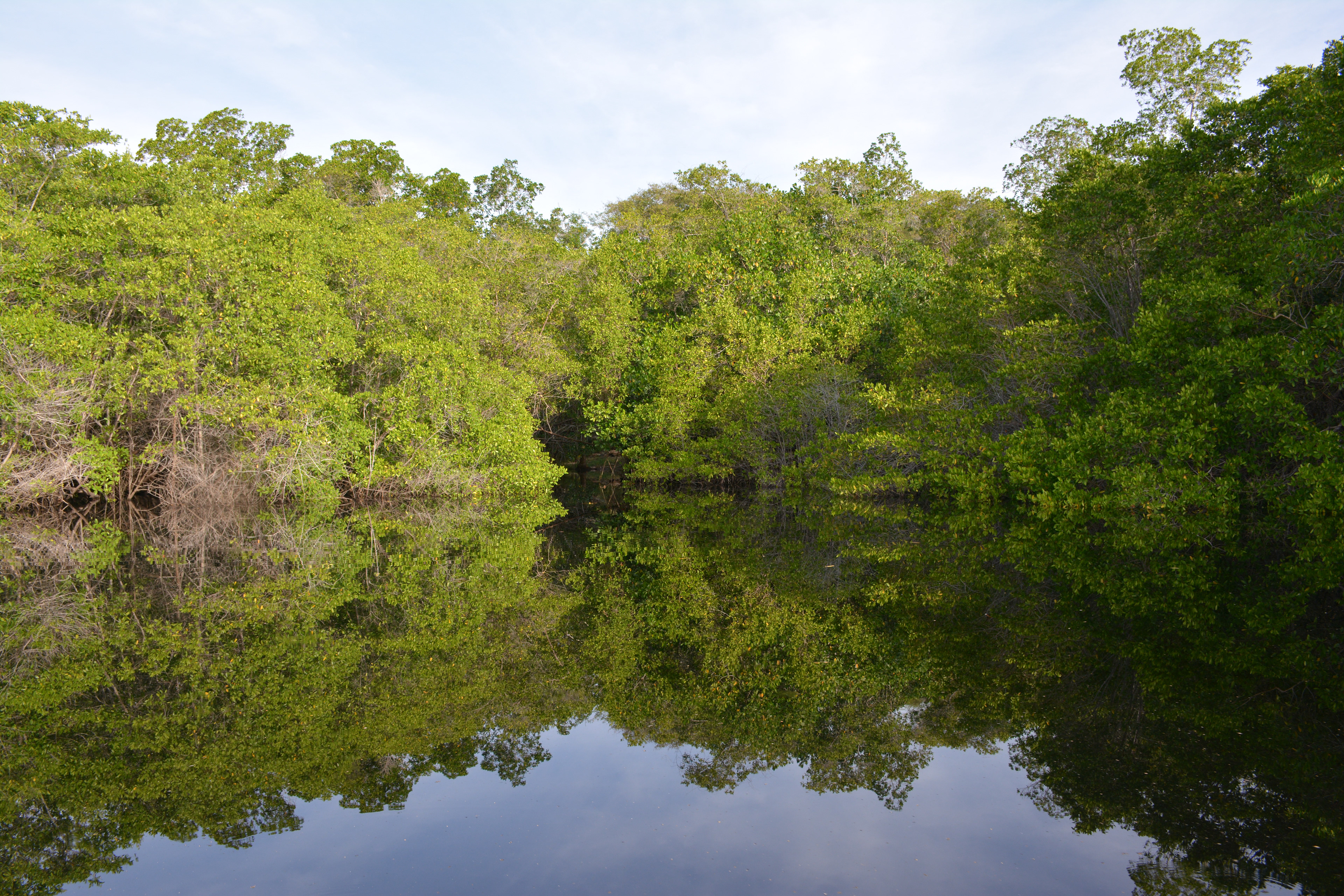 Laguna Manialtepec - Puerto Escondido