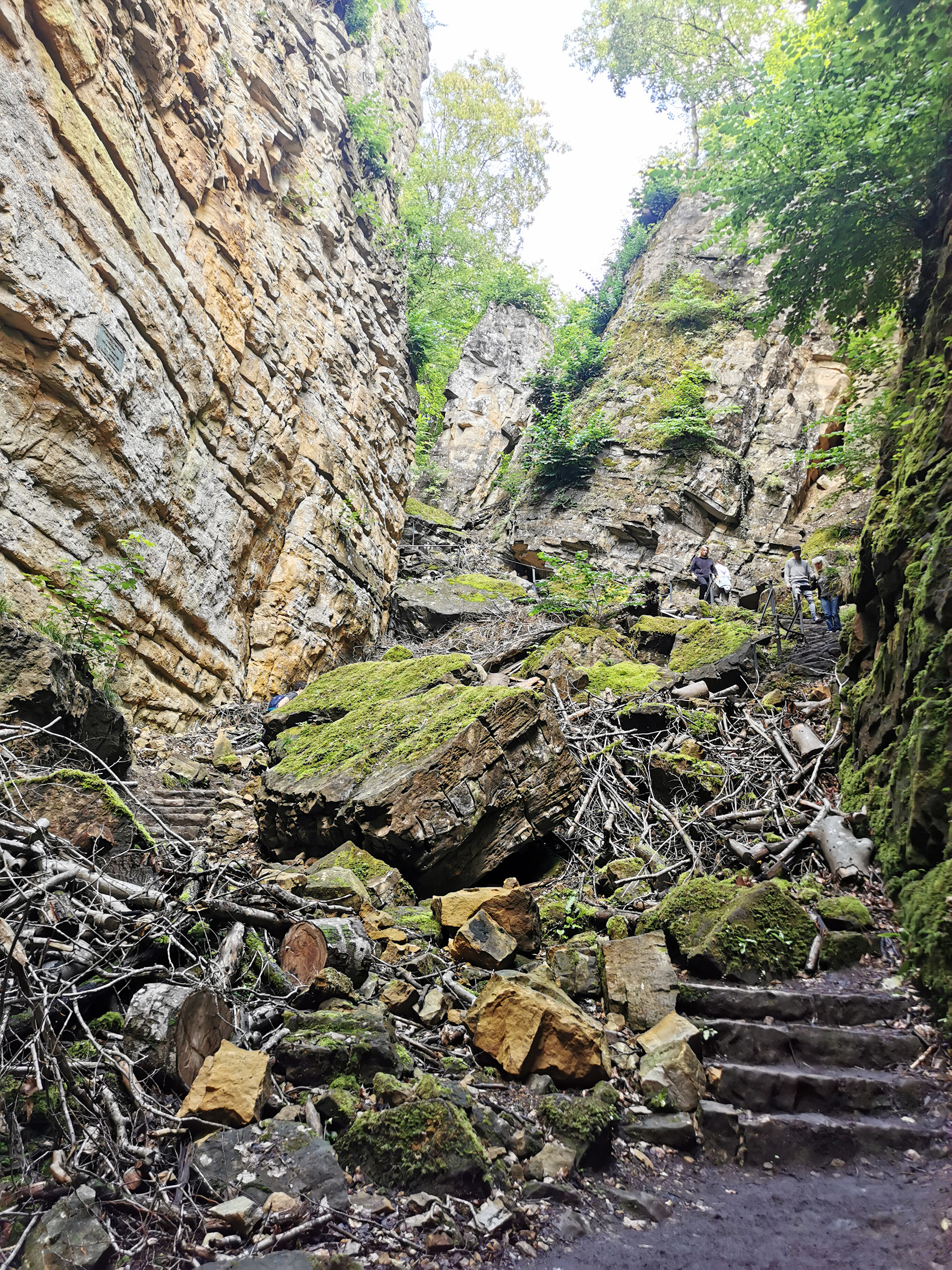 Les gorges du Wollefsschlucht