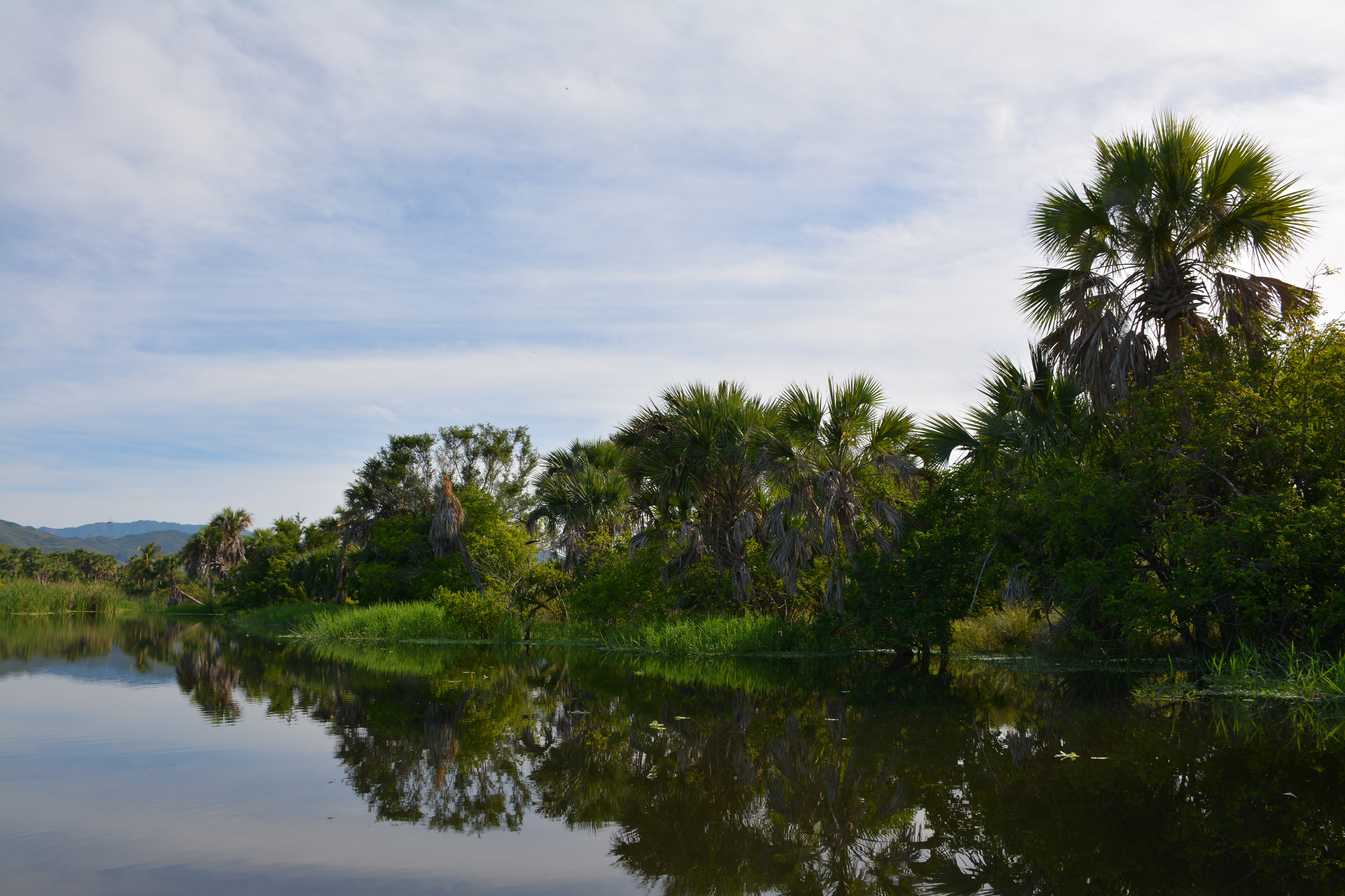 Laguna Manialtepec - Puerto Escondido