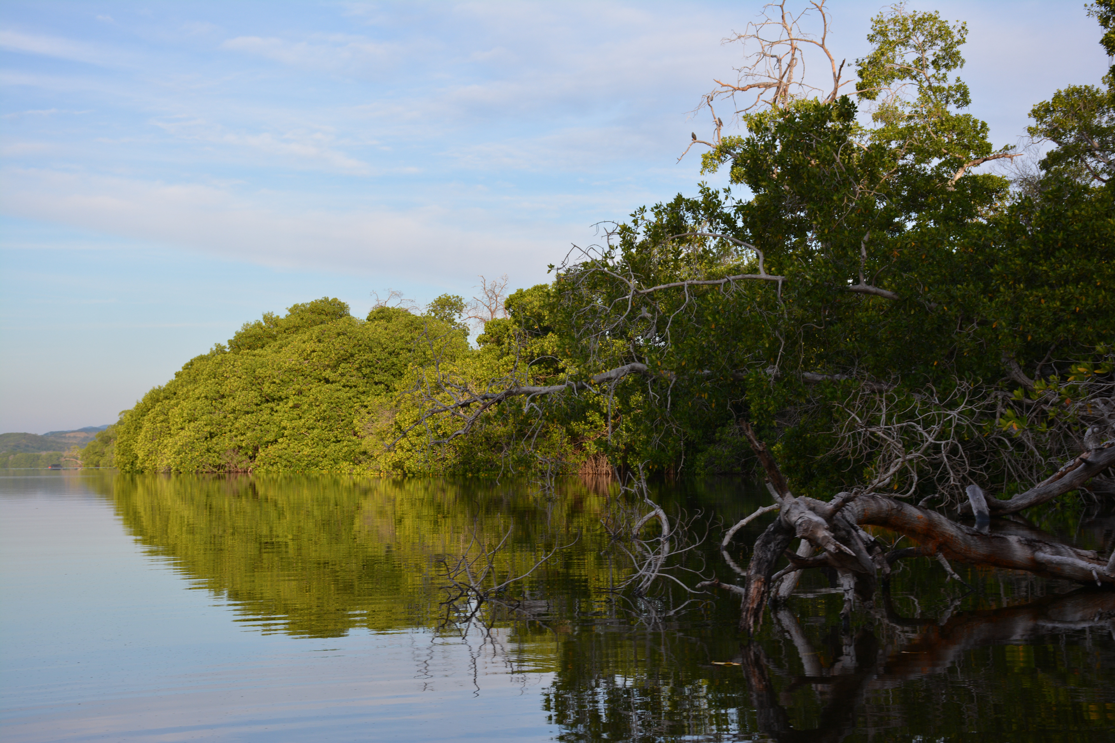 Laguna Manialtepec - Puerto Escondido