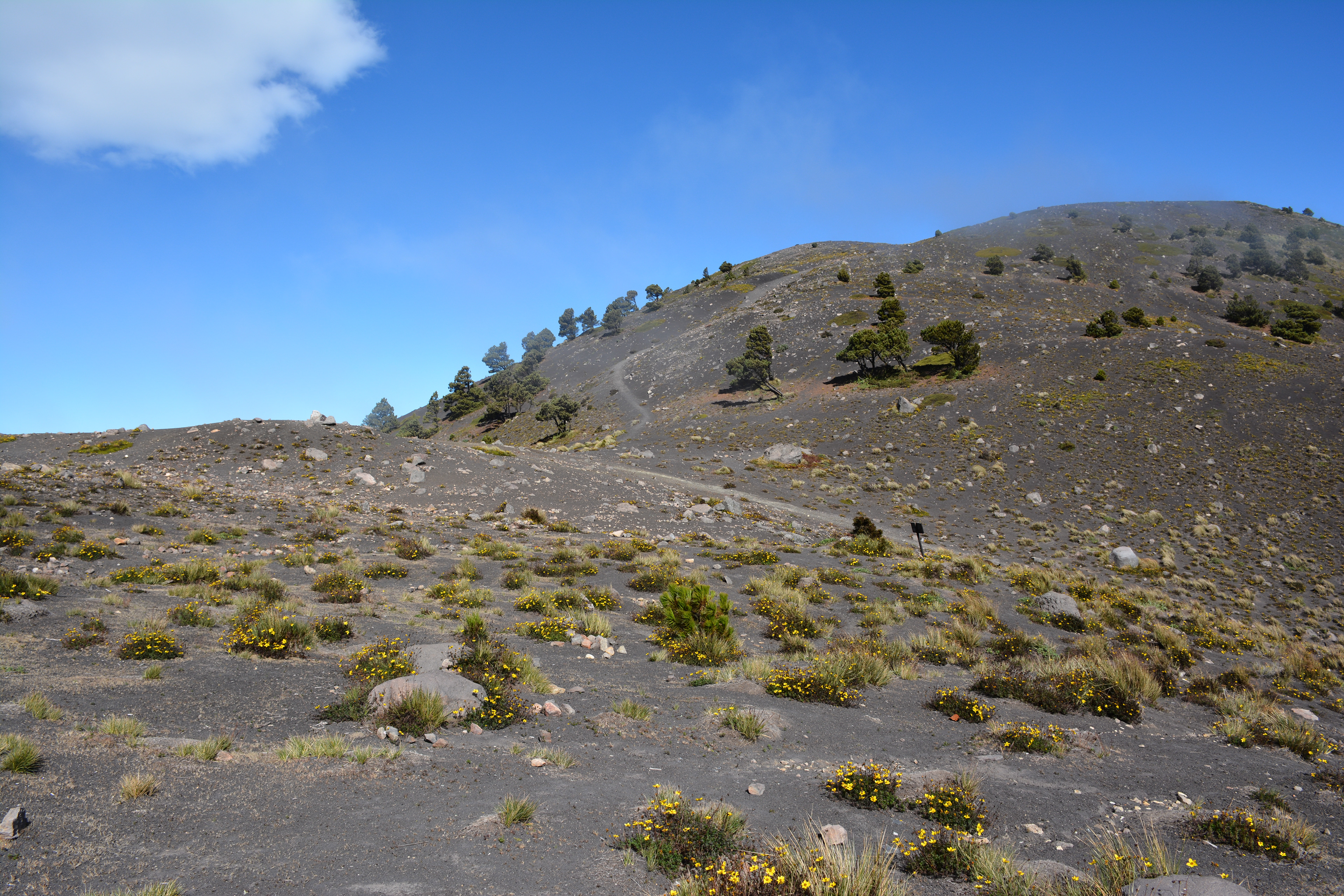 Acatenango
