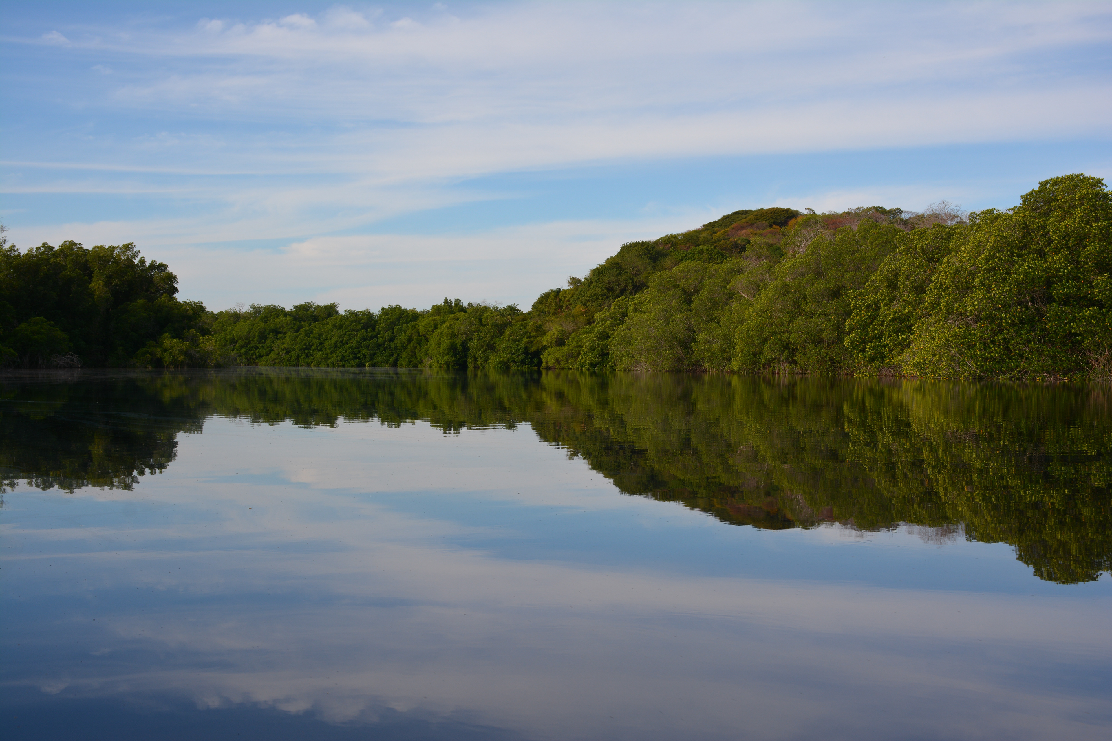 Laguna Manialtepec - Puerto Escondido