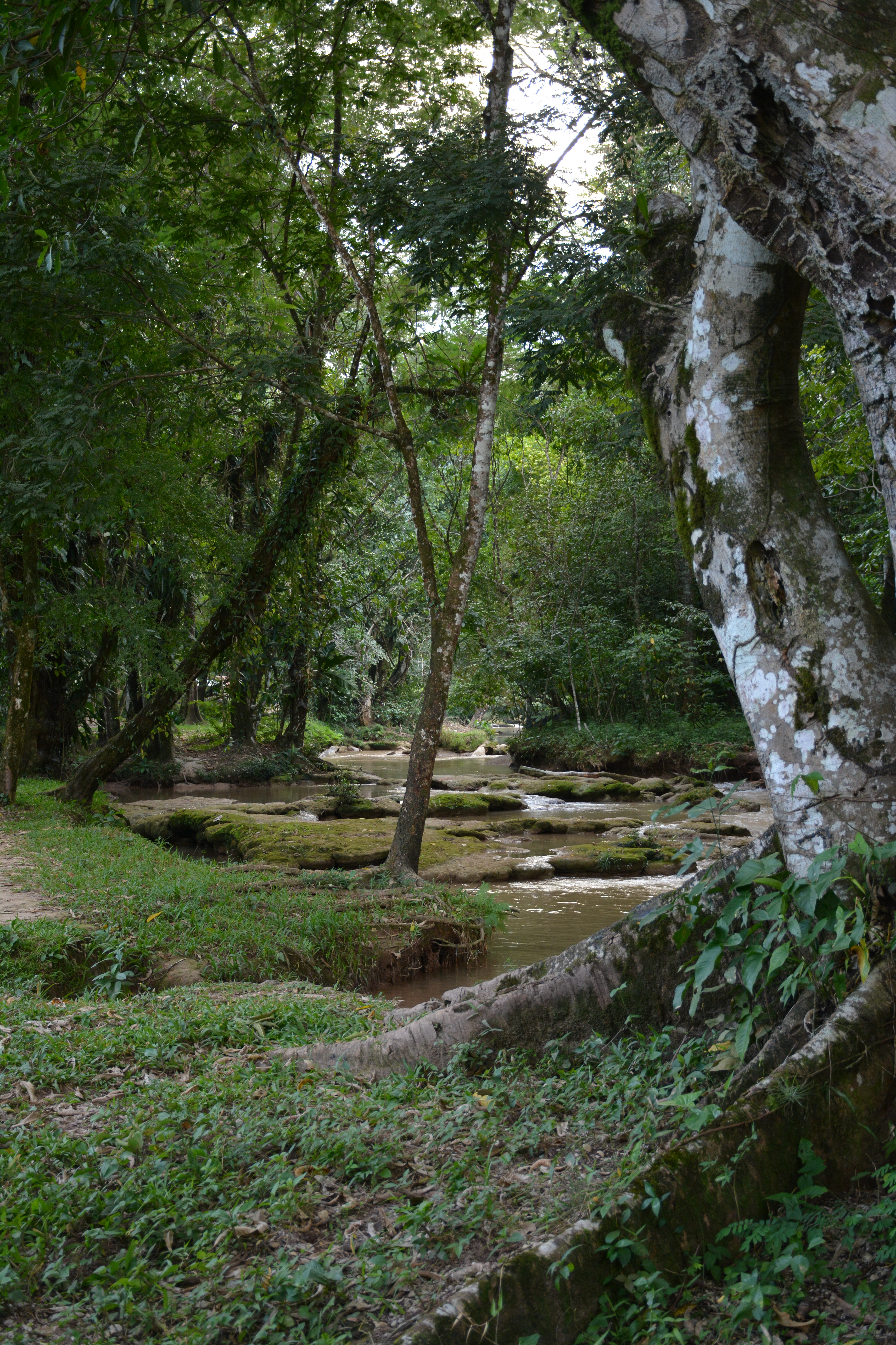 Agua Azul