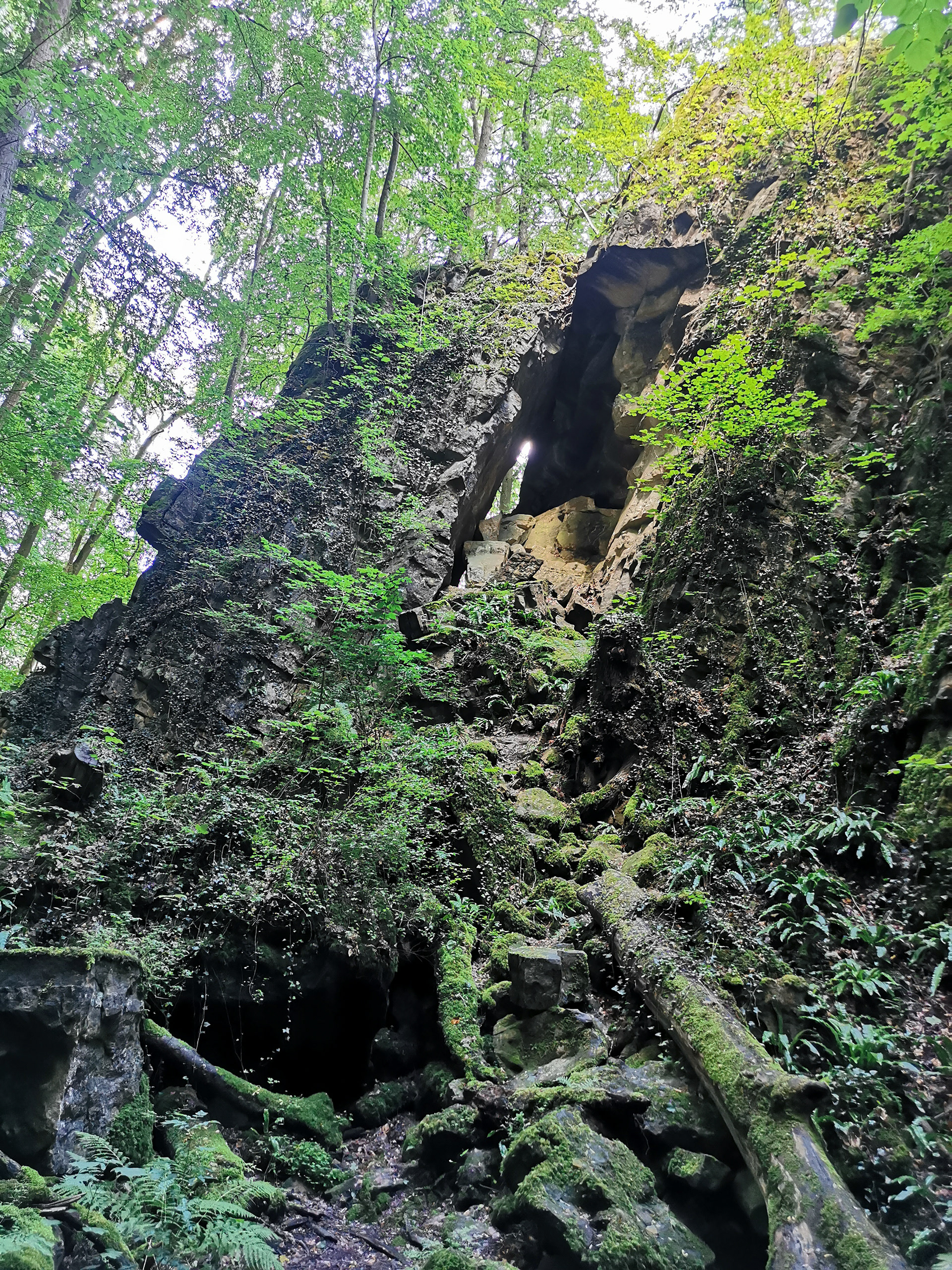 Les gorges du Wollefsschlucht