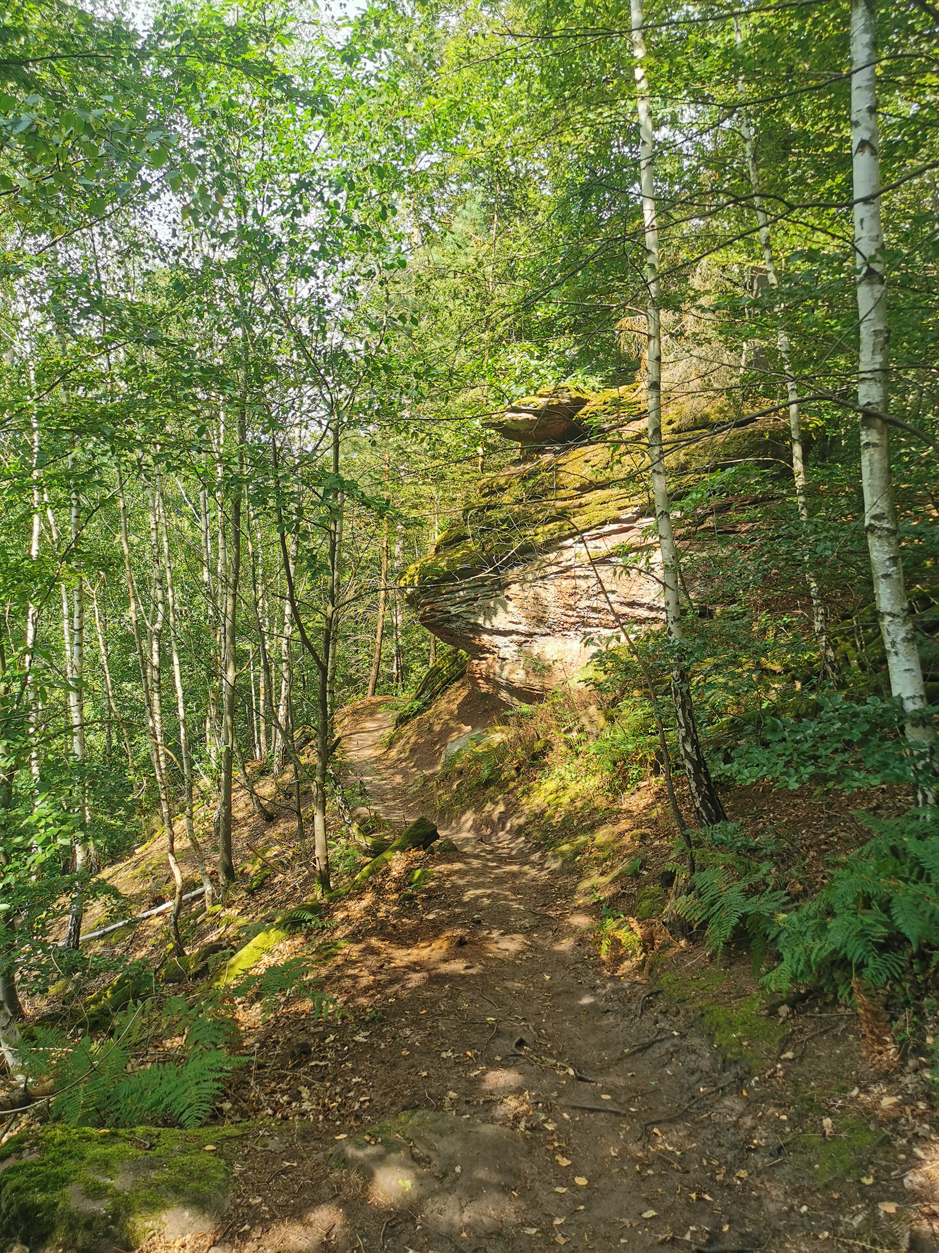 Chemin autours de la Petite Pierre