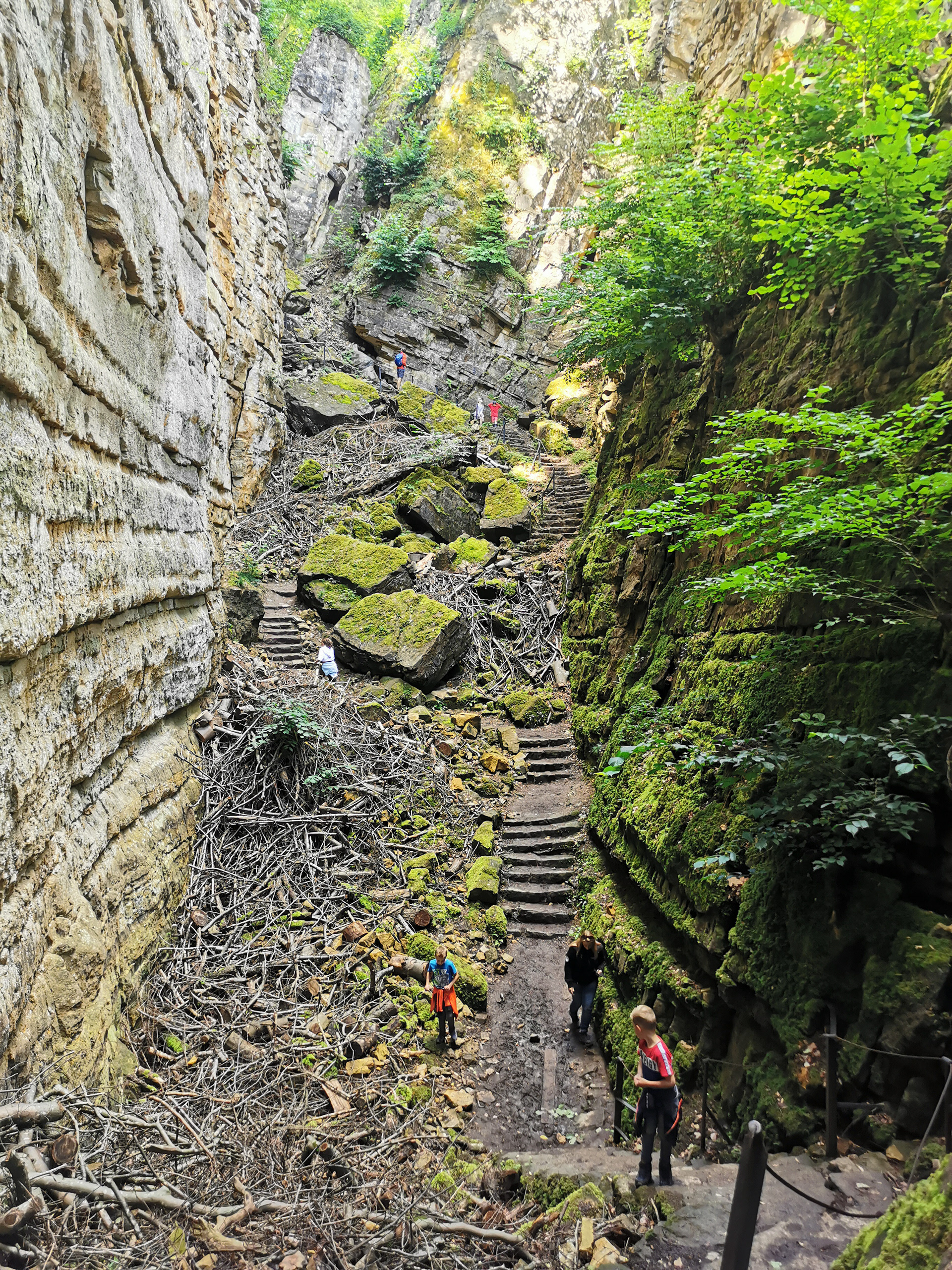Les gorges du Wollefsschlucht