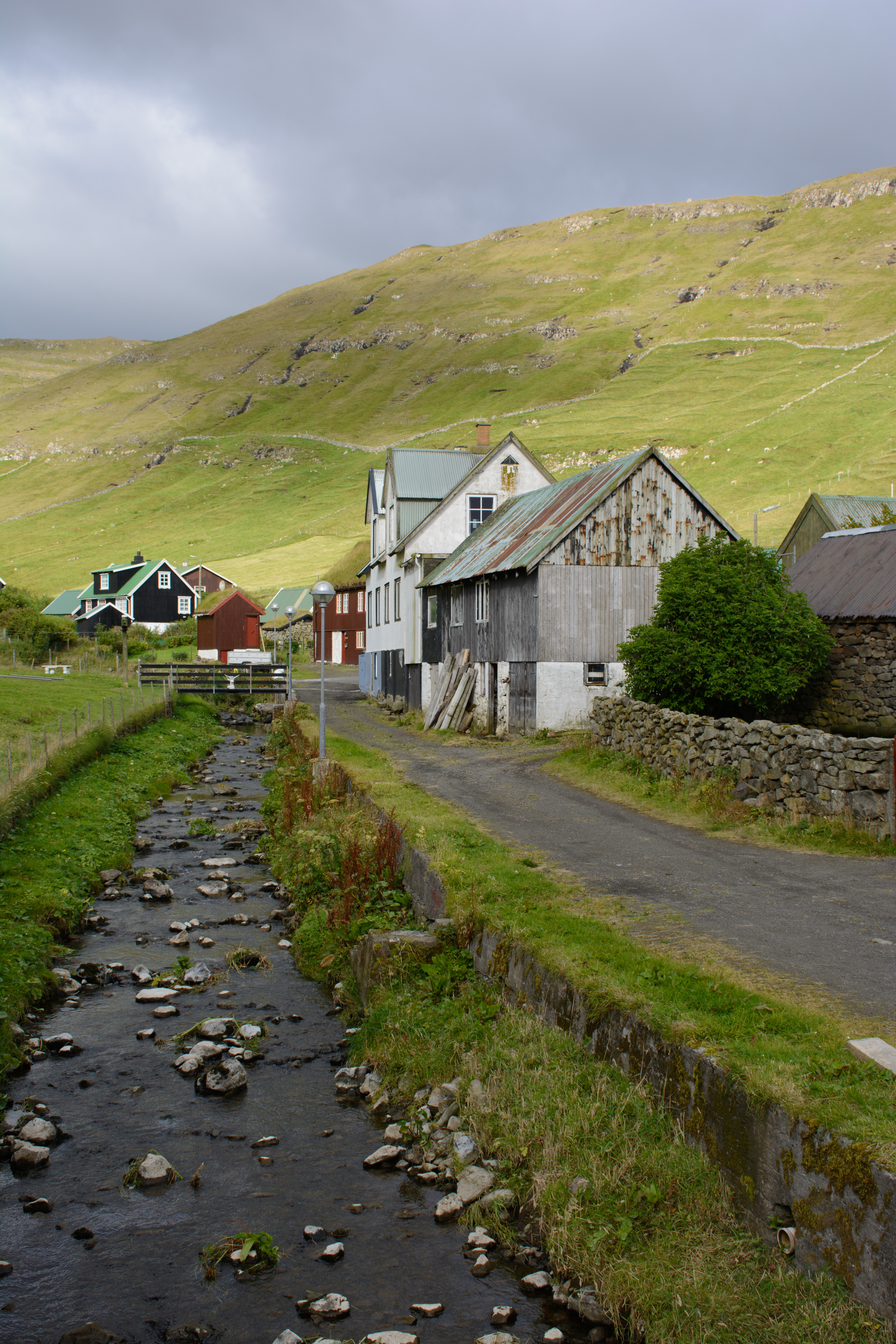 DALUR