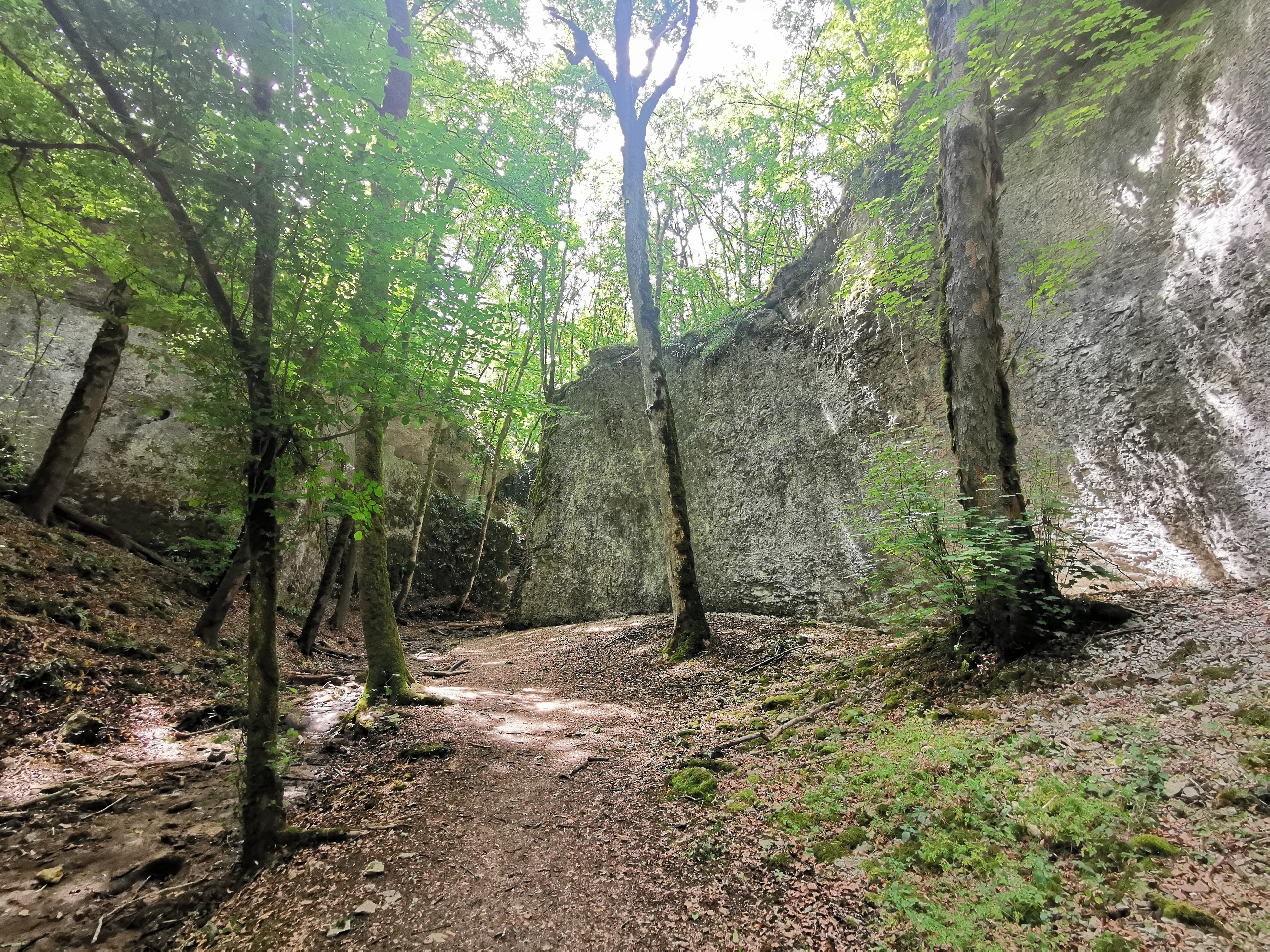 Les Gorges de la Vingeanne