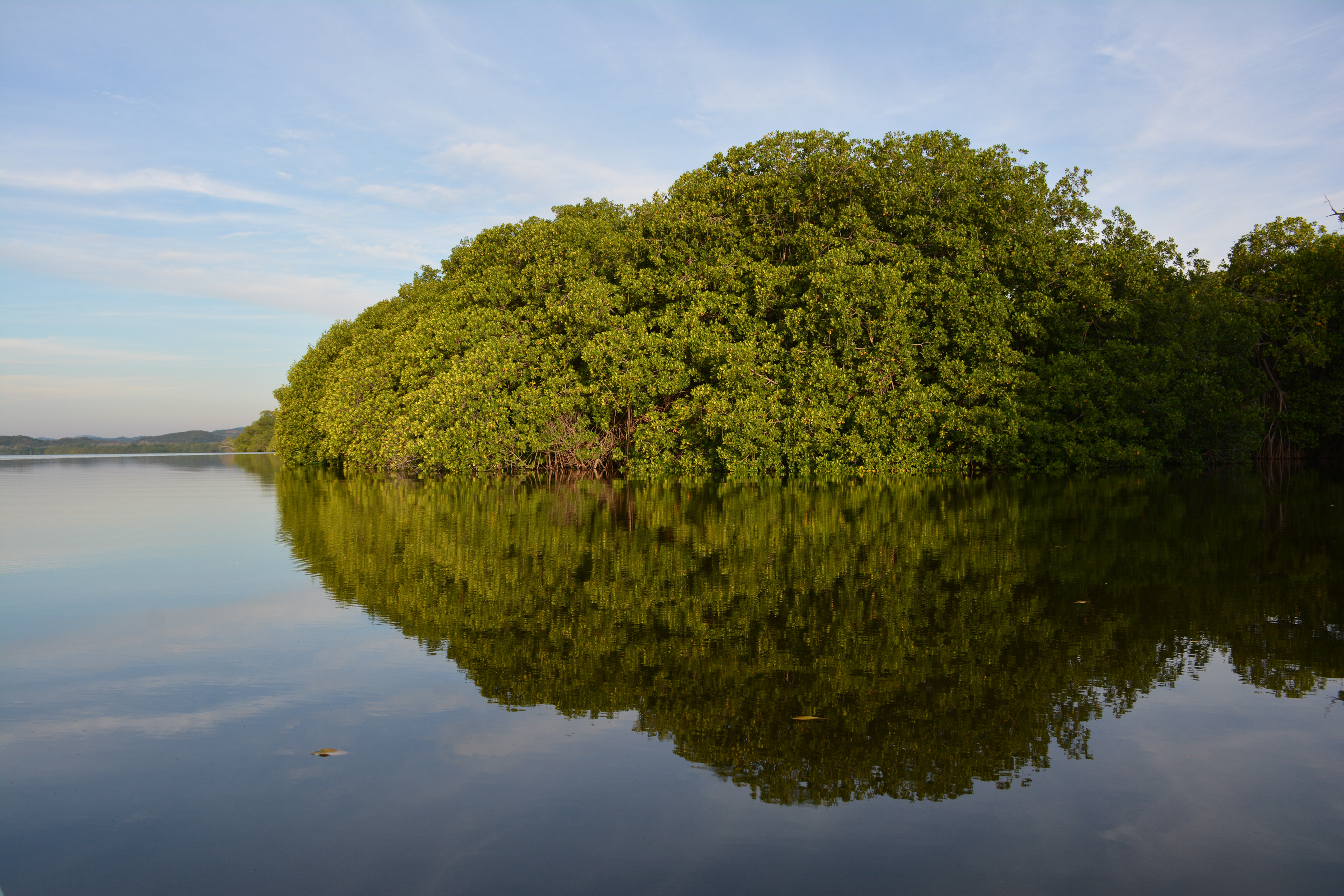 Laguna Manialtepec - Puerto Escondido