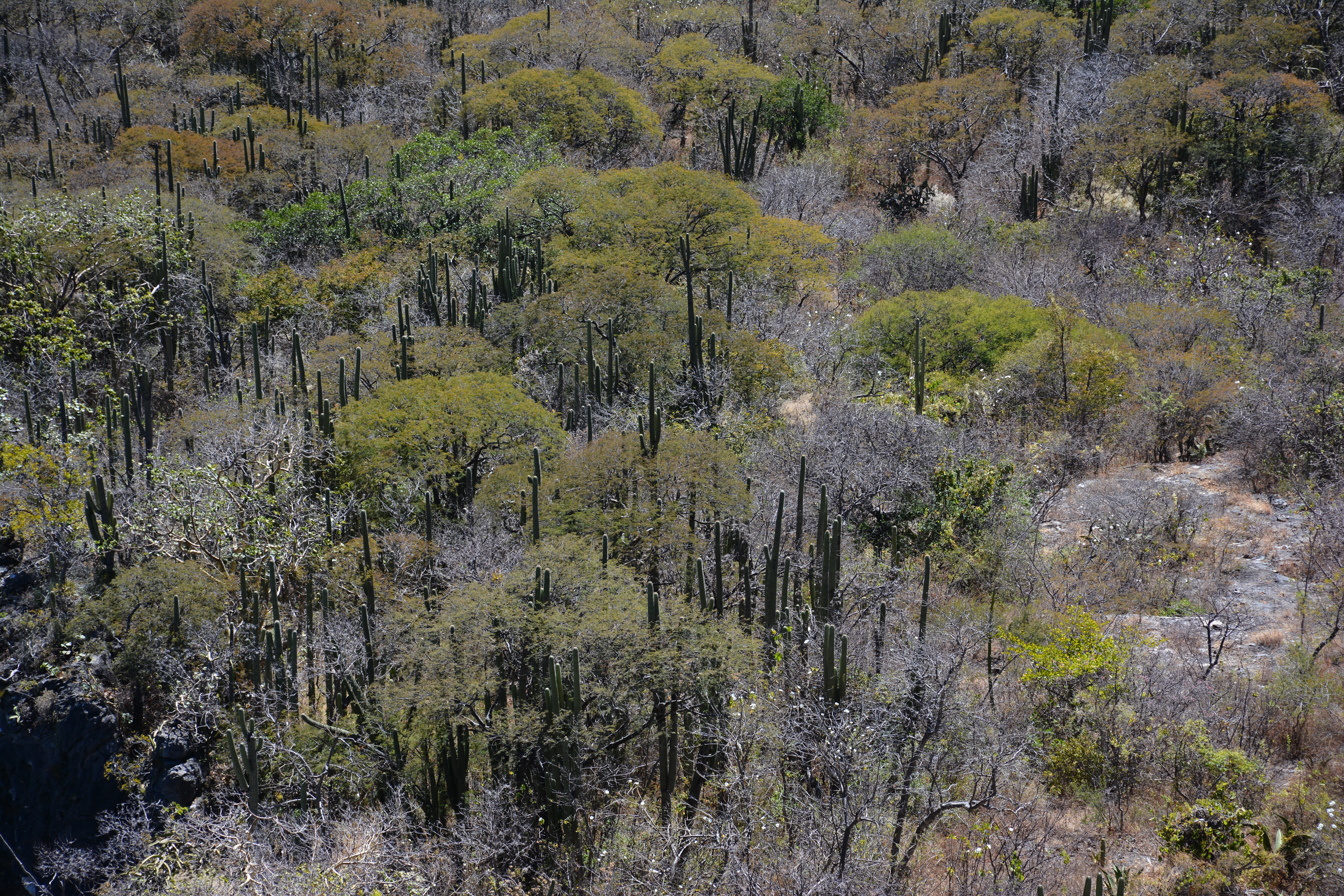 Hierve El Hagua