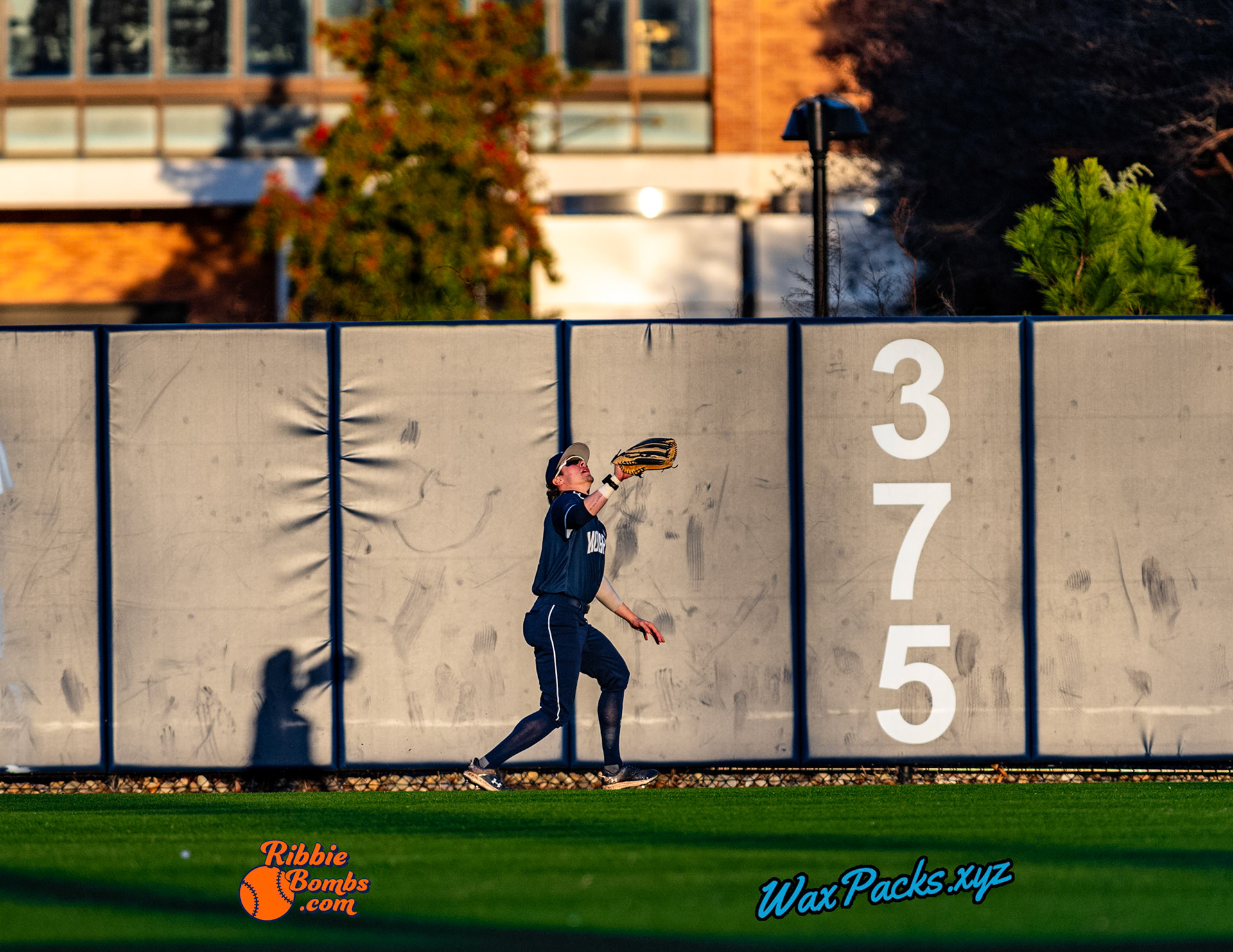Outfielder Steven Meier (12) of Old Dominion caught a fly ball in the sixth inning of the second game of a three-game weekend series. The Monarchs defeated the 49ers, 4-1, at Bud Metheny Baseball Stadium on the campus of Old Dominion University in Norfolk, VA, on Saturday, March 2, 2024.  (Photo Credit Chad W. via www.WaxPax.xyz via Getty Images, Copyright © WaxPacks.xyz WaxPacks.xyz™ 2024)
