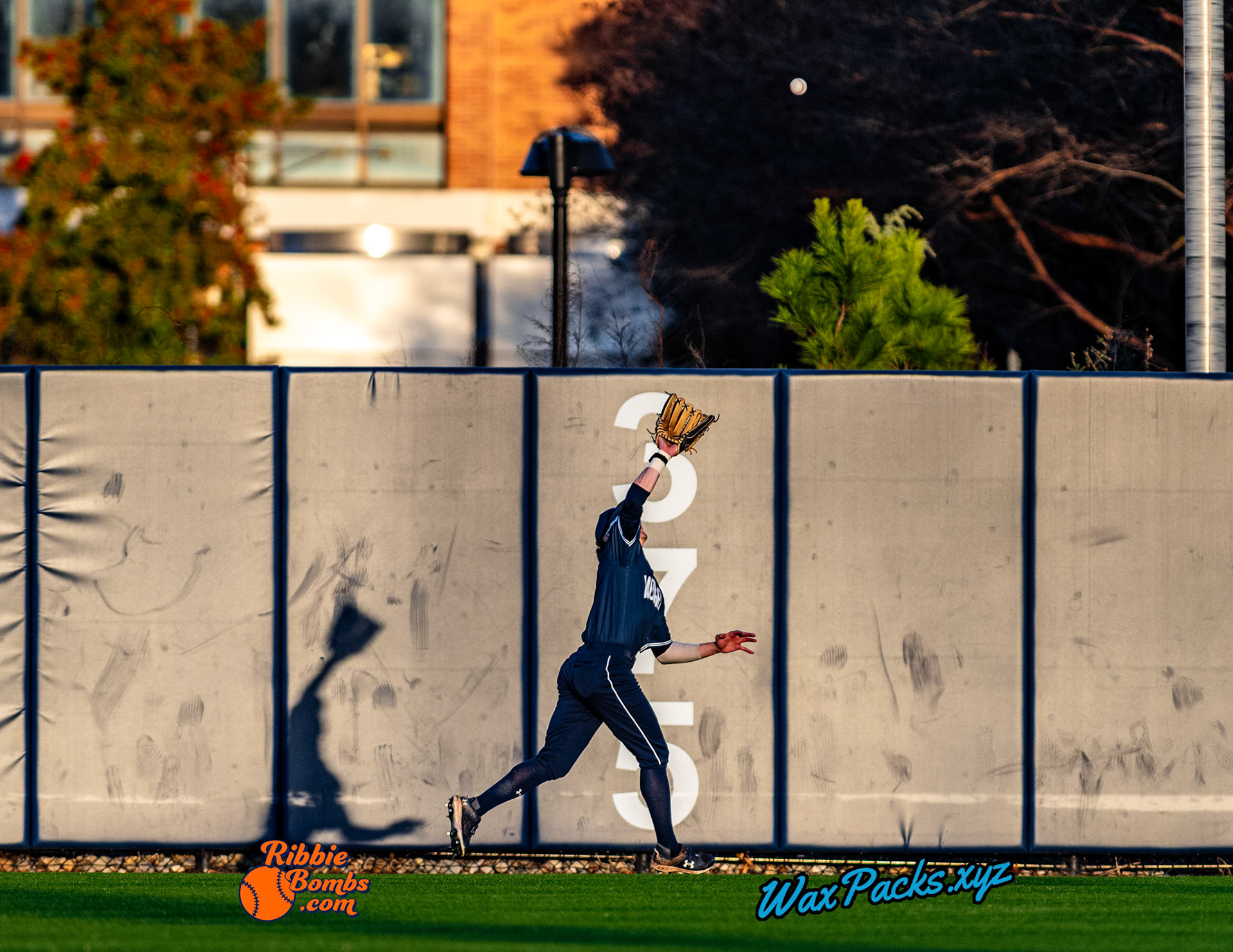 Outfielder Steven Meier (12) of Old Dominion caught a fly ball in the sixth inning of the second game of a three-game weekend series. The Monarchs defeated the 49ers, 4-1, at Bud Metheny Baseball Stadium on the campus of Old Dominion University in Norfolk, VA, on Saturday, March 2, 2024.  (Photo Credit Chad W. via www.WaxPax.xyz via Getty Images, Copyright © WaxPacks.xyz WaxPacks.xyz™ 2024)