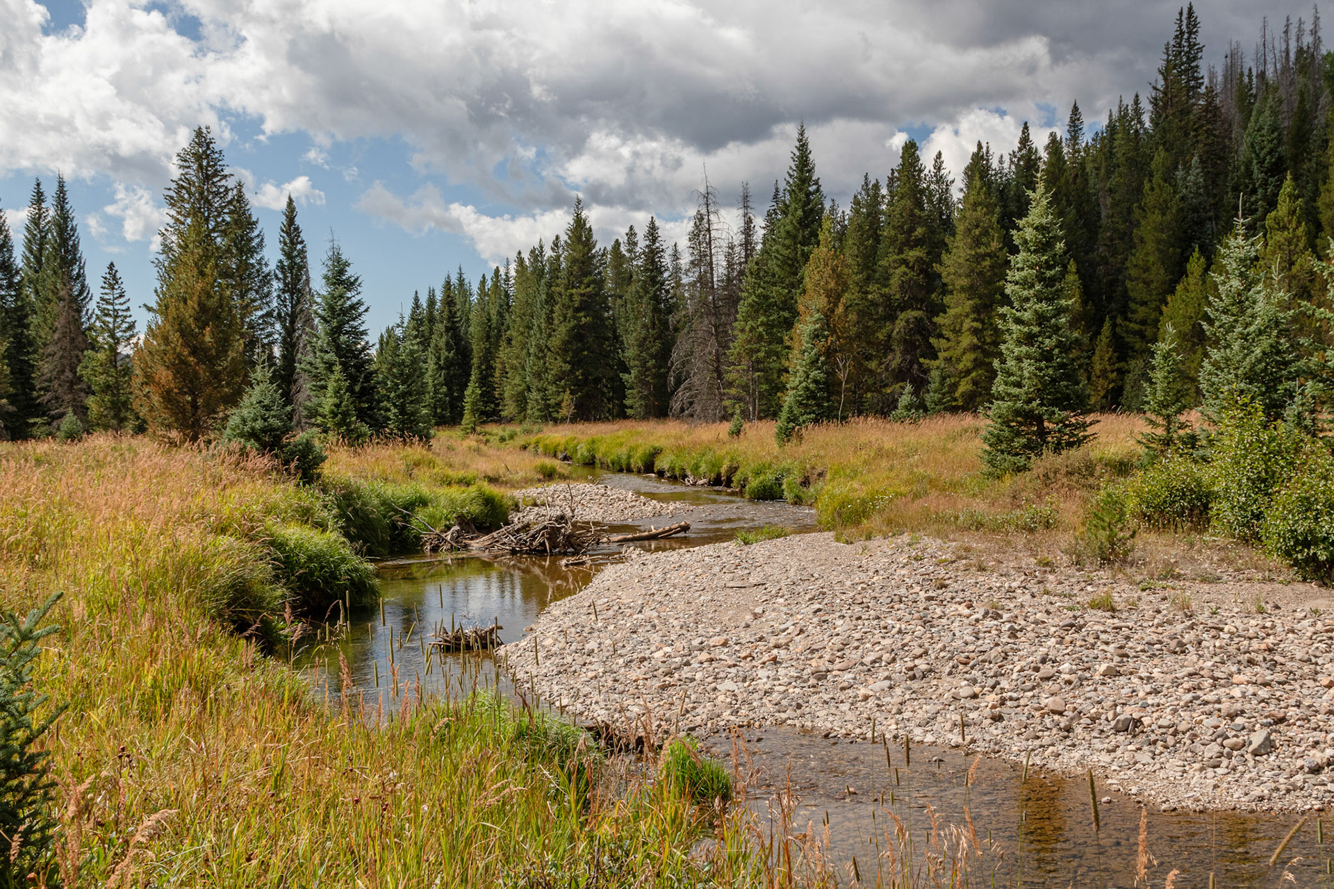Colorado River in Kawuneeche Valley